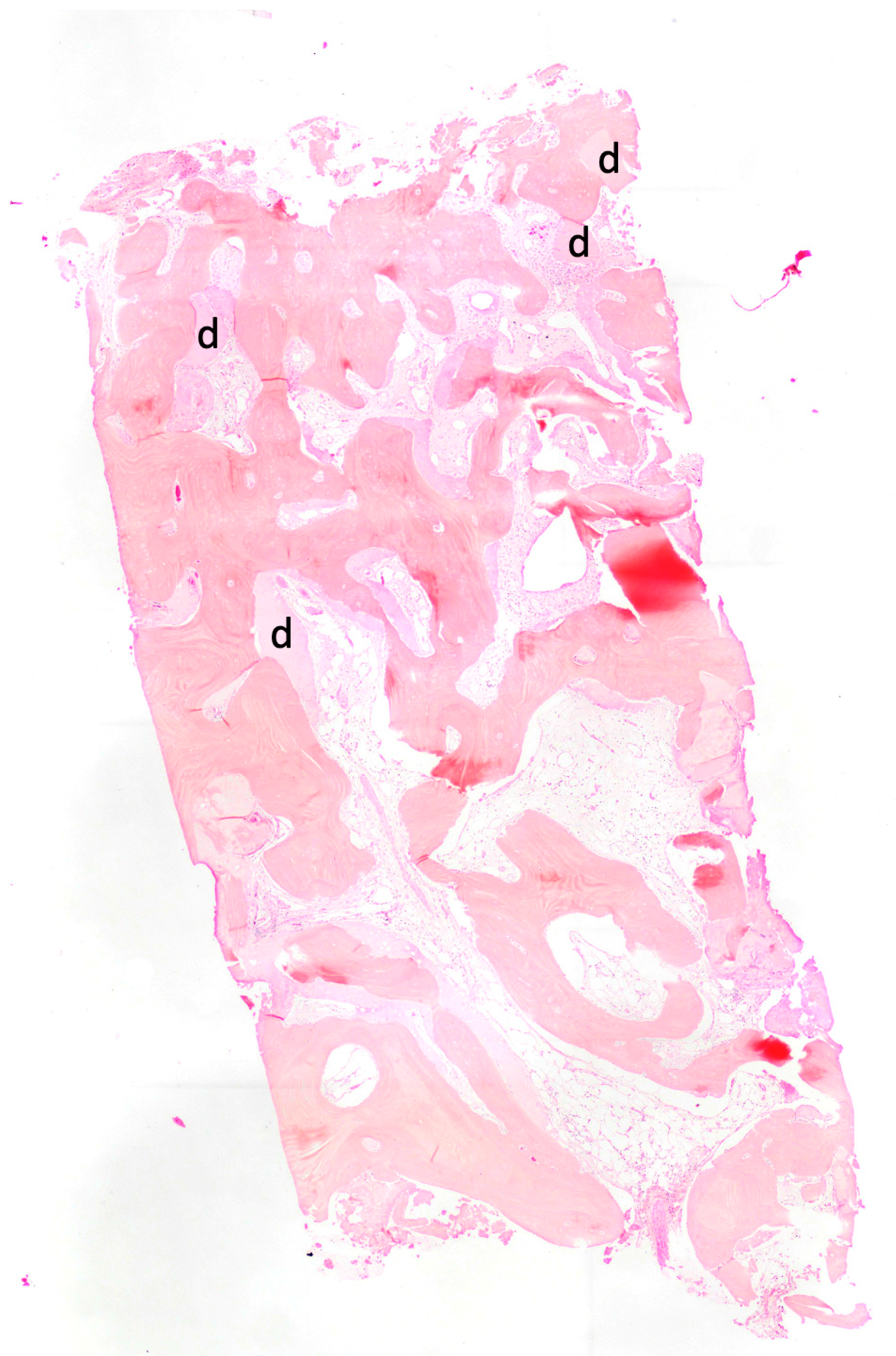 Jcm 12 05611 g003 Jcm 12 05611 g003