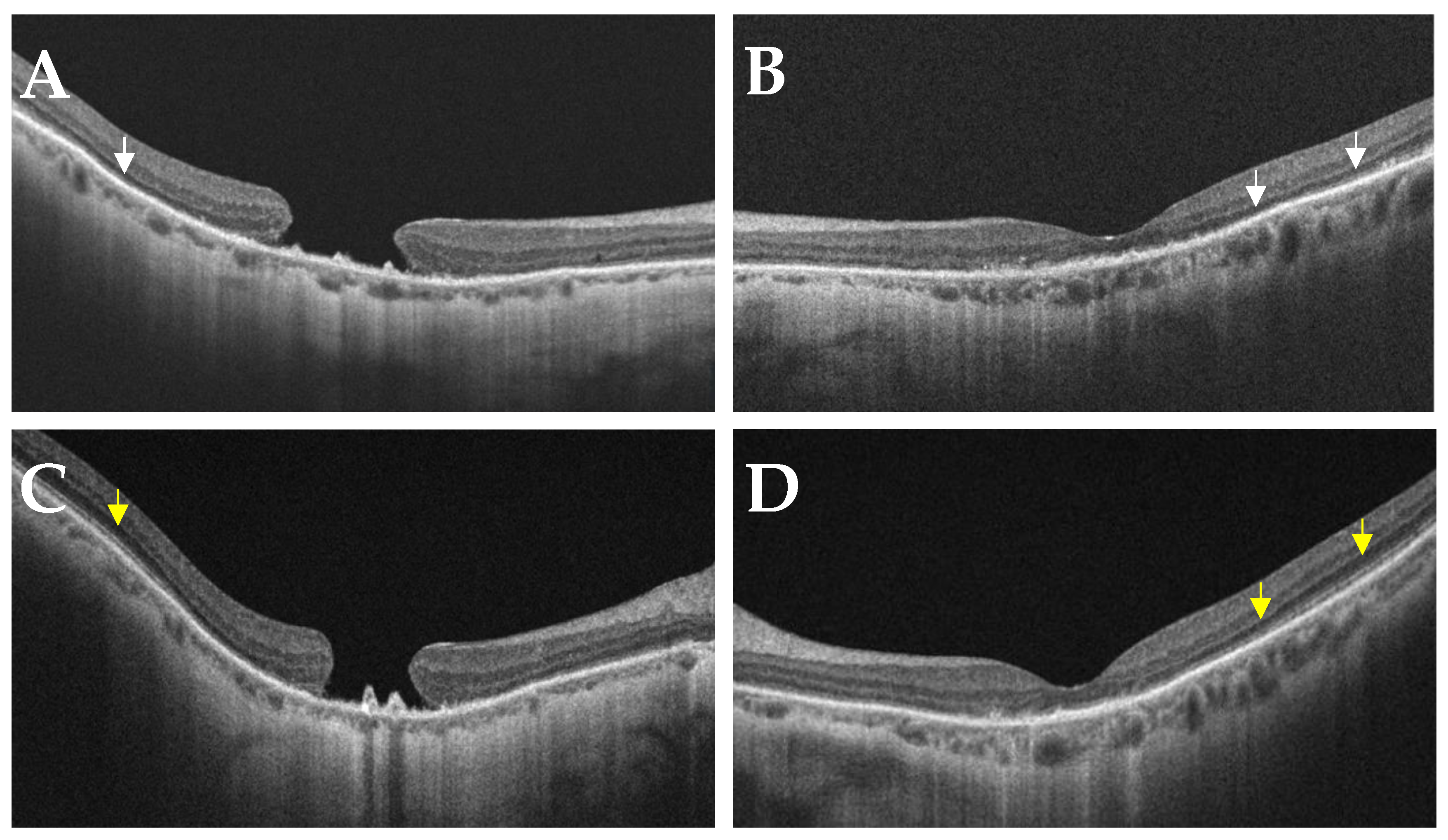 Jcm 12 05620 g002 Jcm 12 05620 g002