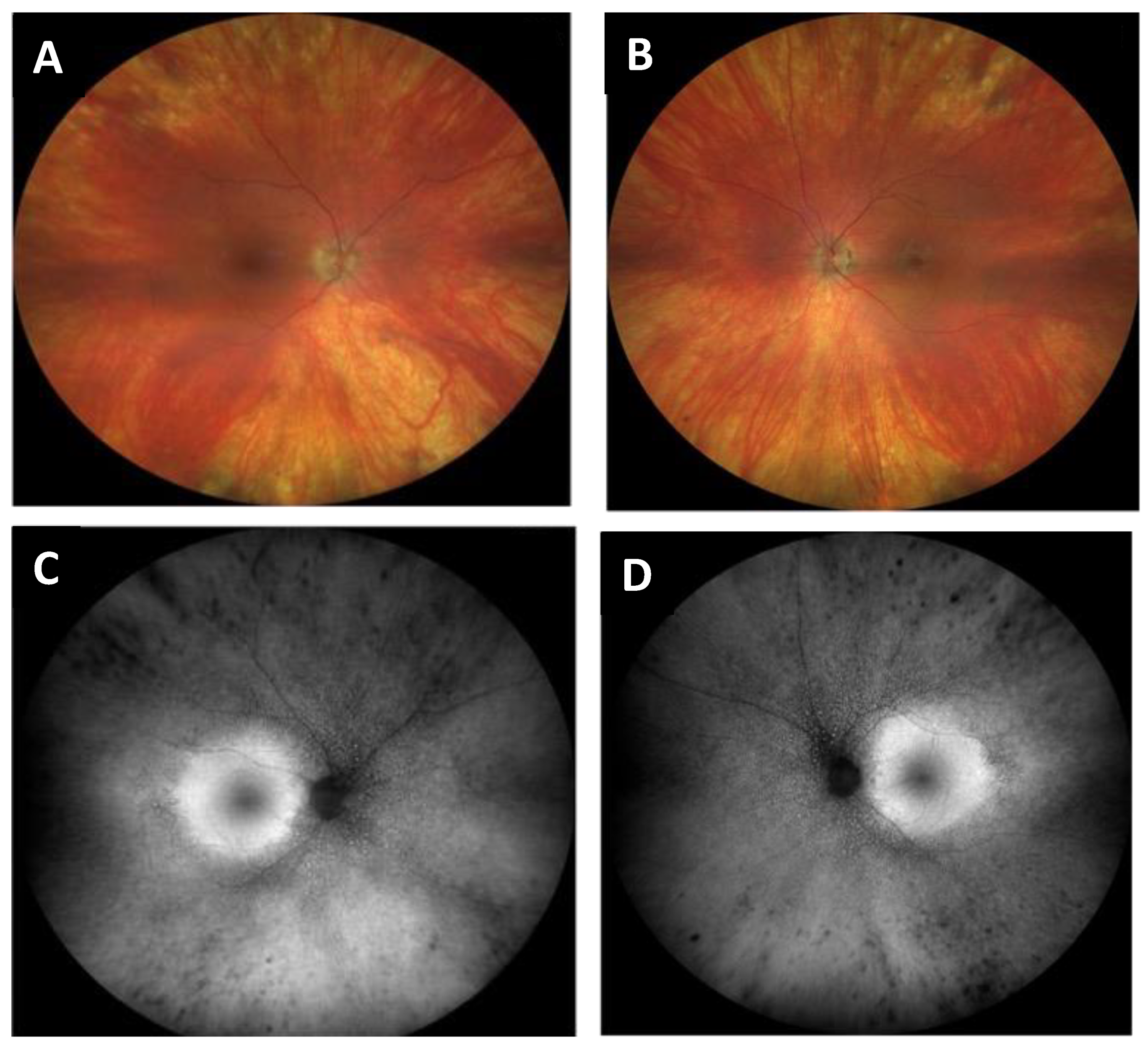 Jcm 12 05620 g004 Jcm 12 05620 g004