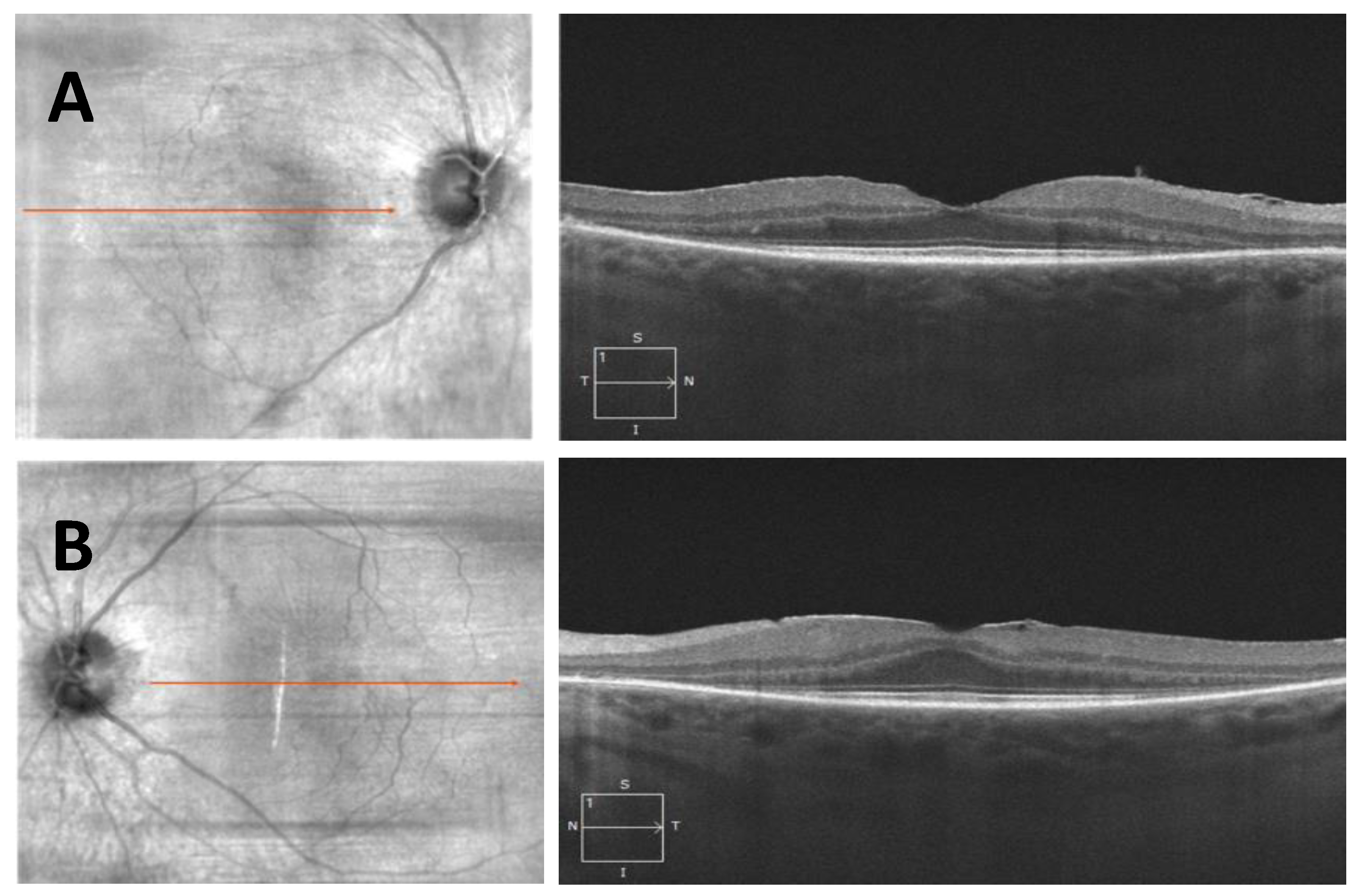 Jcm 12 05620 g006 Jcm 12 05620 g006