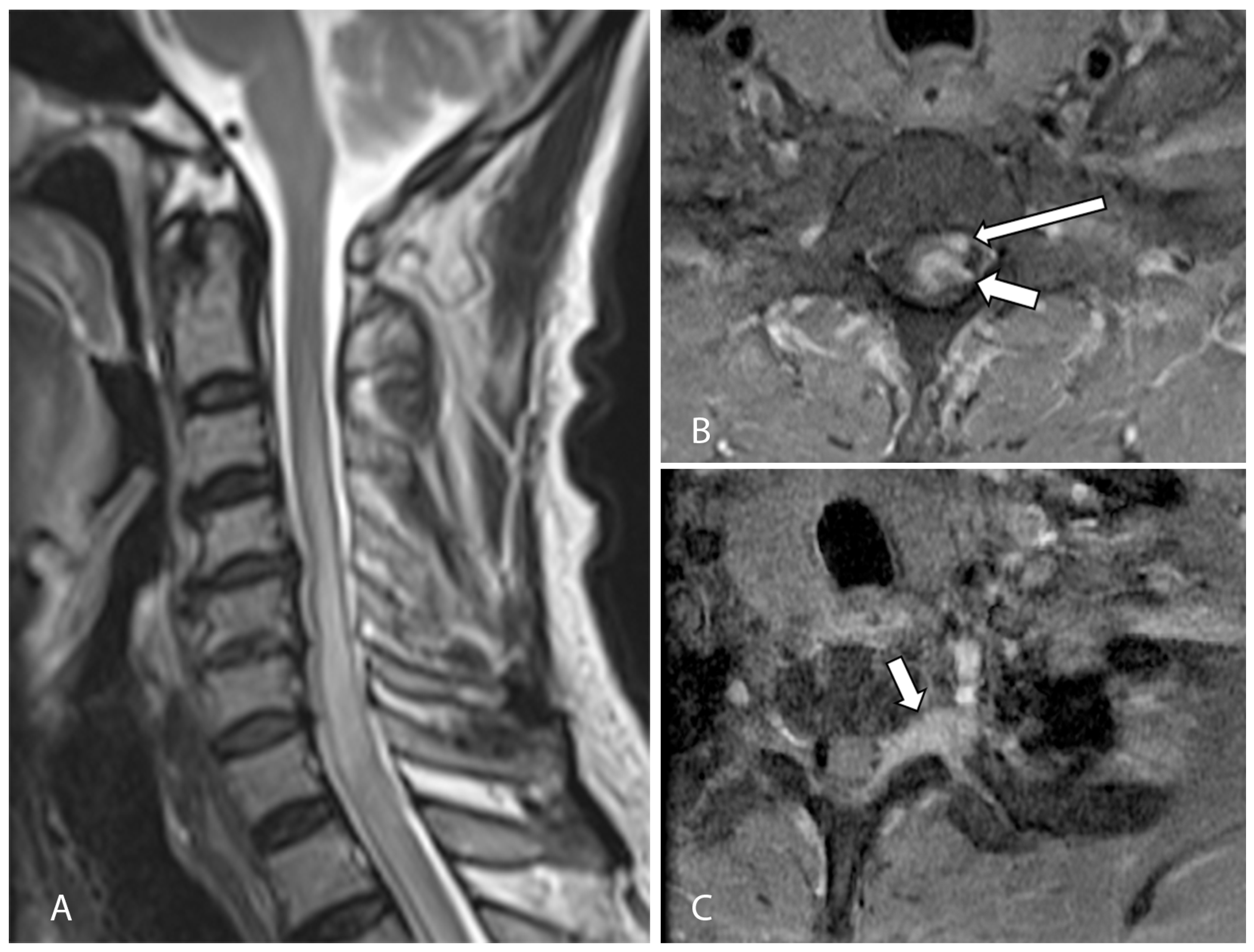 Jcm 12 05632 g001 Jcm 12 05632 g001