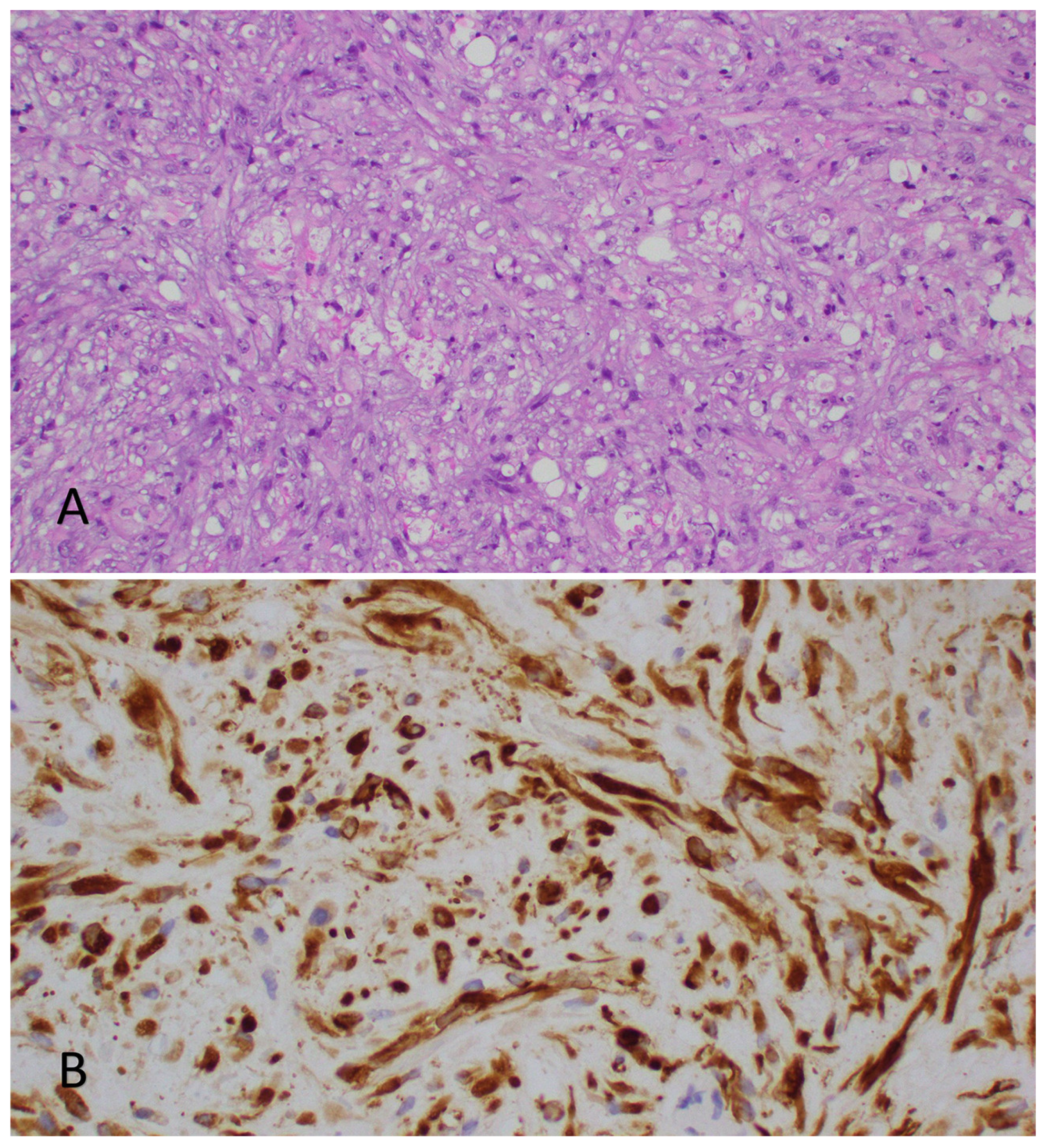 Jcm 12 05632 g003 Jcm 12 05632 g003