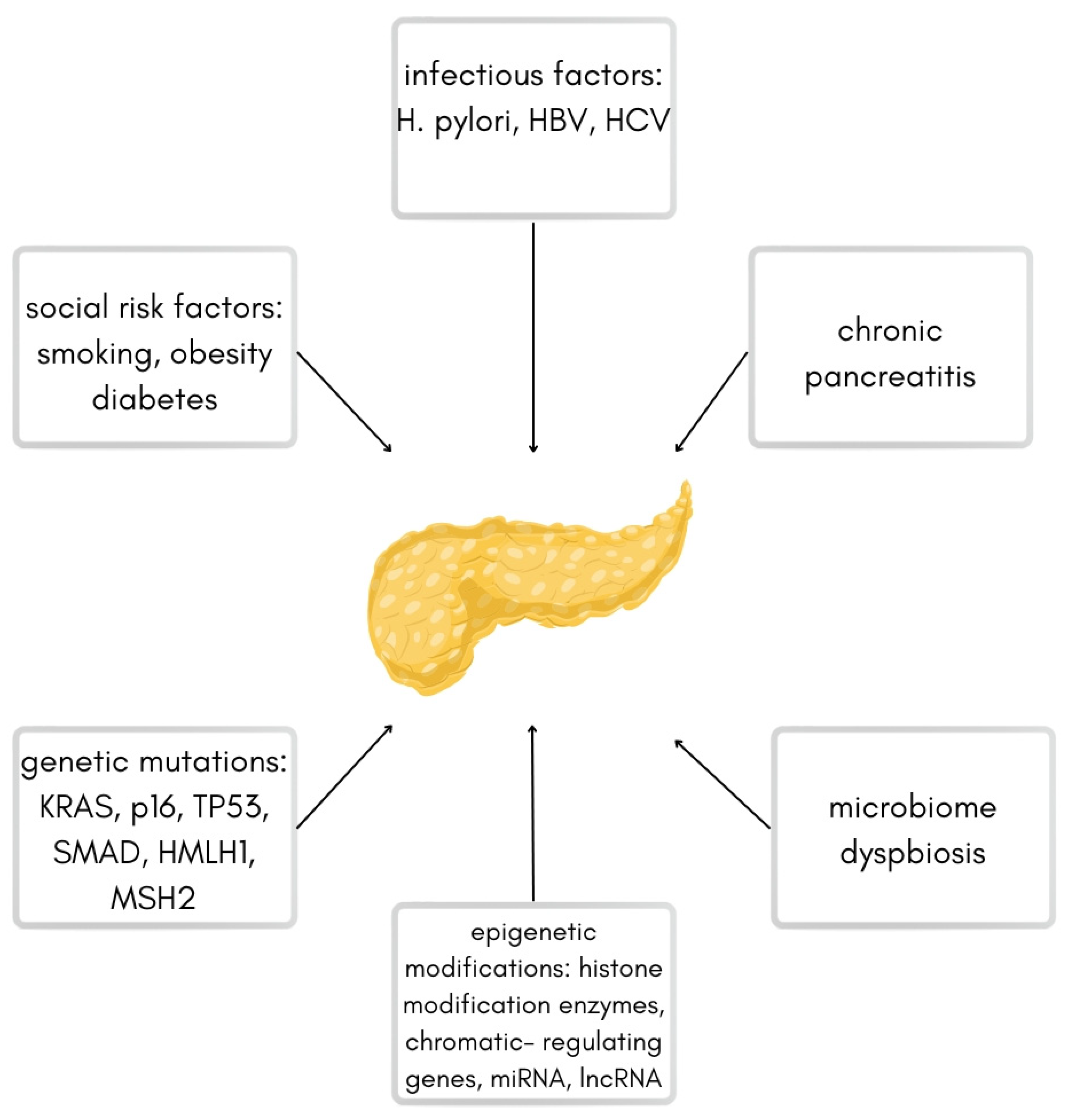 Jcm 12 05643 g001 Jcm 12 05643 g001