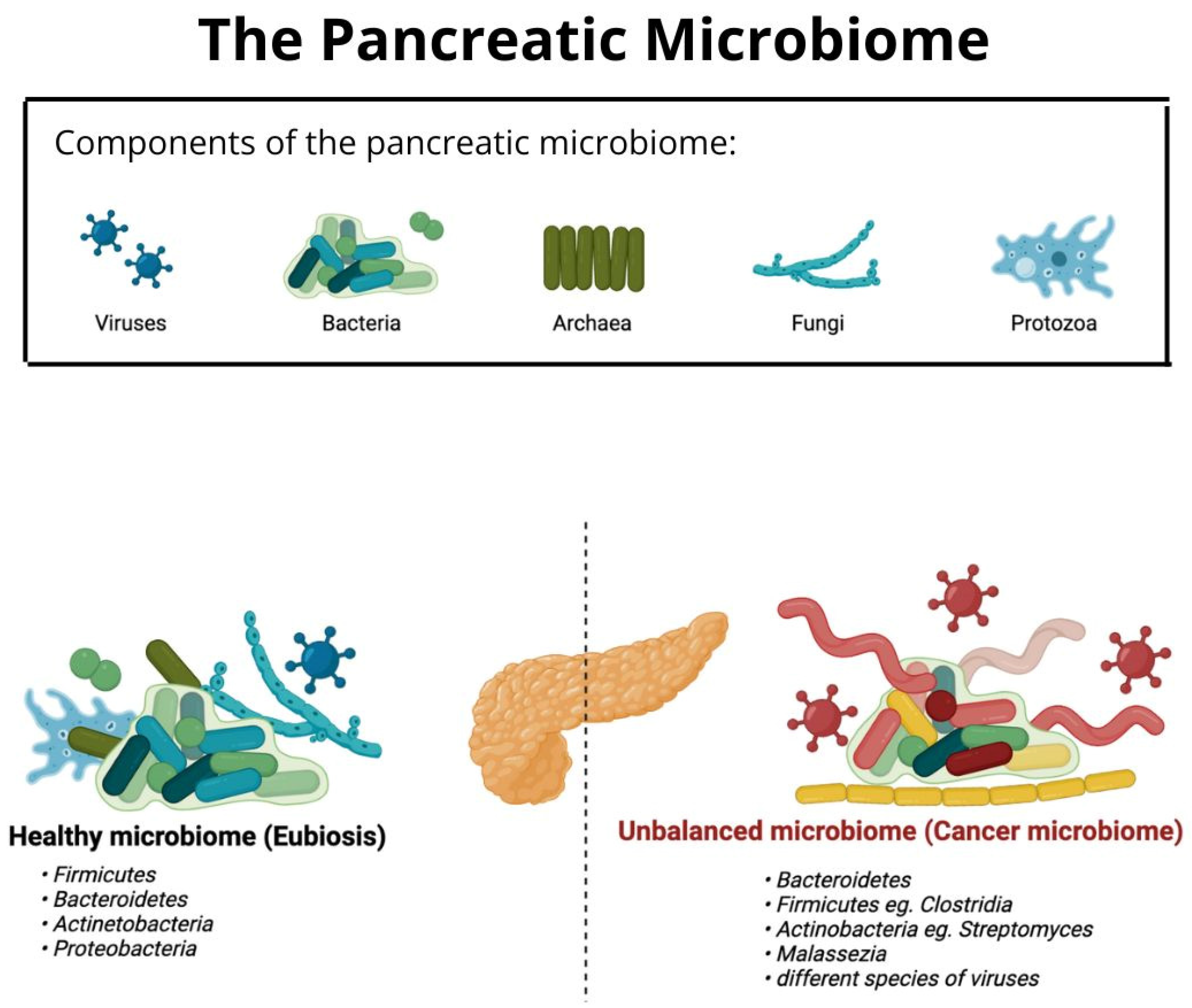 Jcm 12 05643 g002 Jcm 12 05643 g002