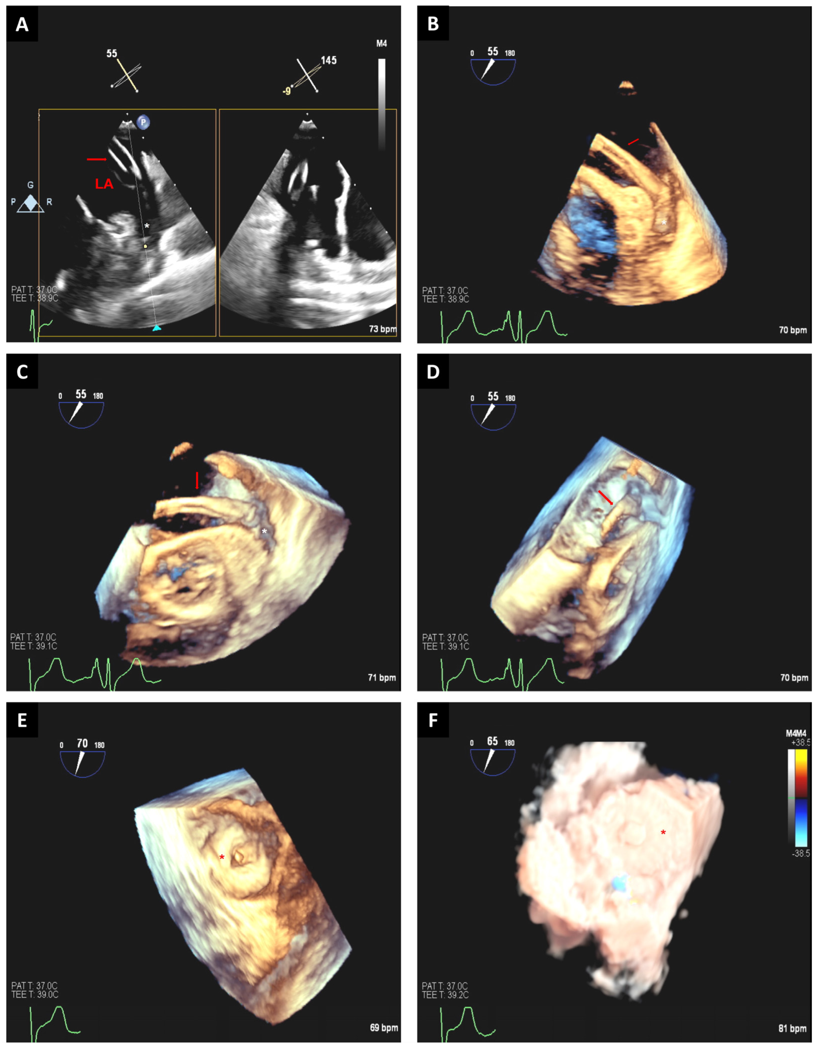Jcm 12 05664 g009 Jcm 12 05664 g009