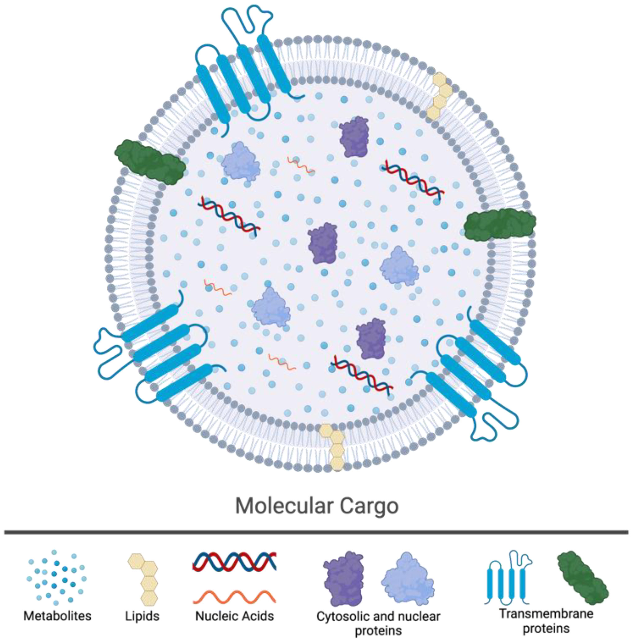 Jcm 12 05668 g001 Jcm 12 05668 g001
