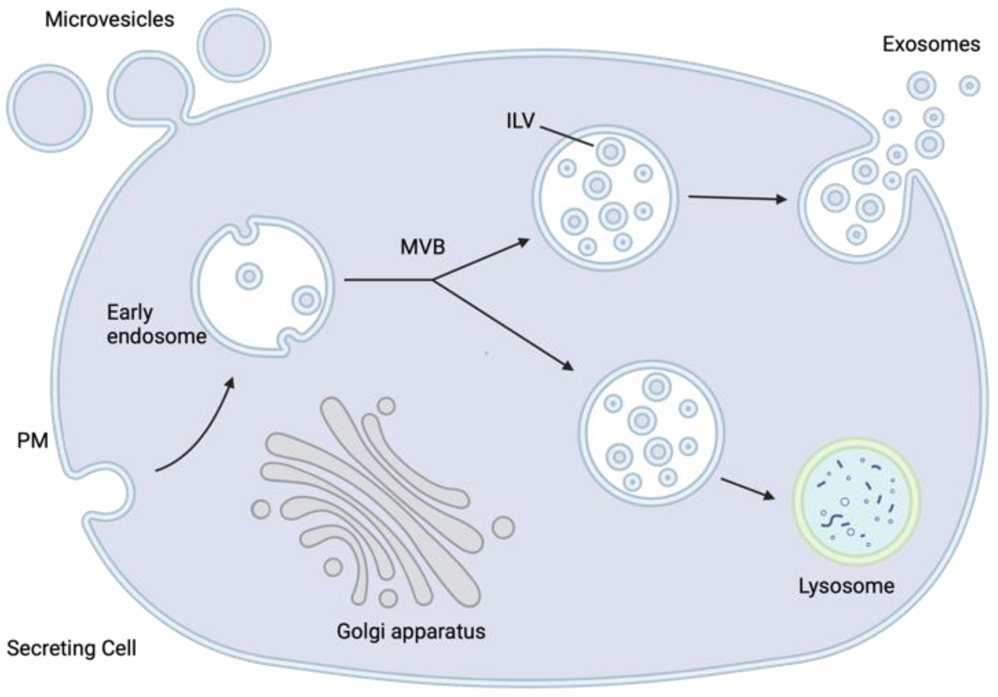 Jcm 12 05668 g002 Jcm 12 05668 g002