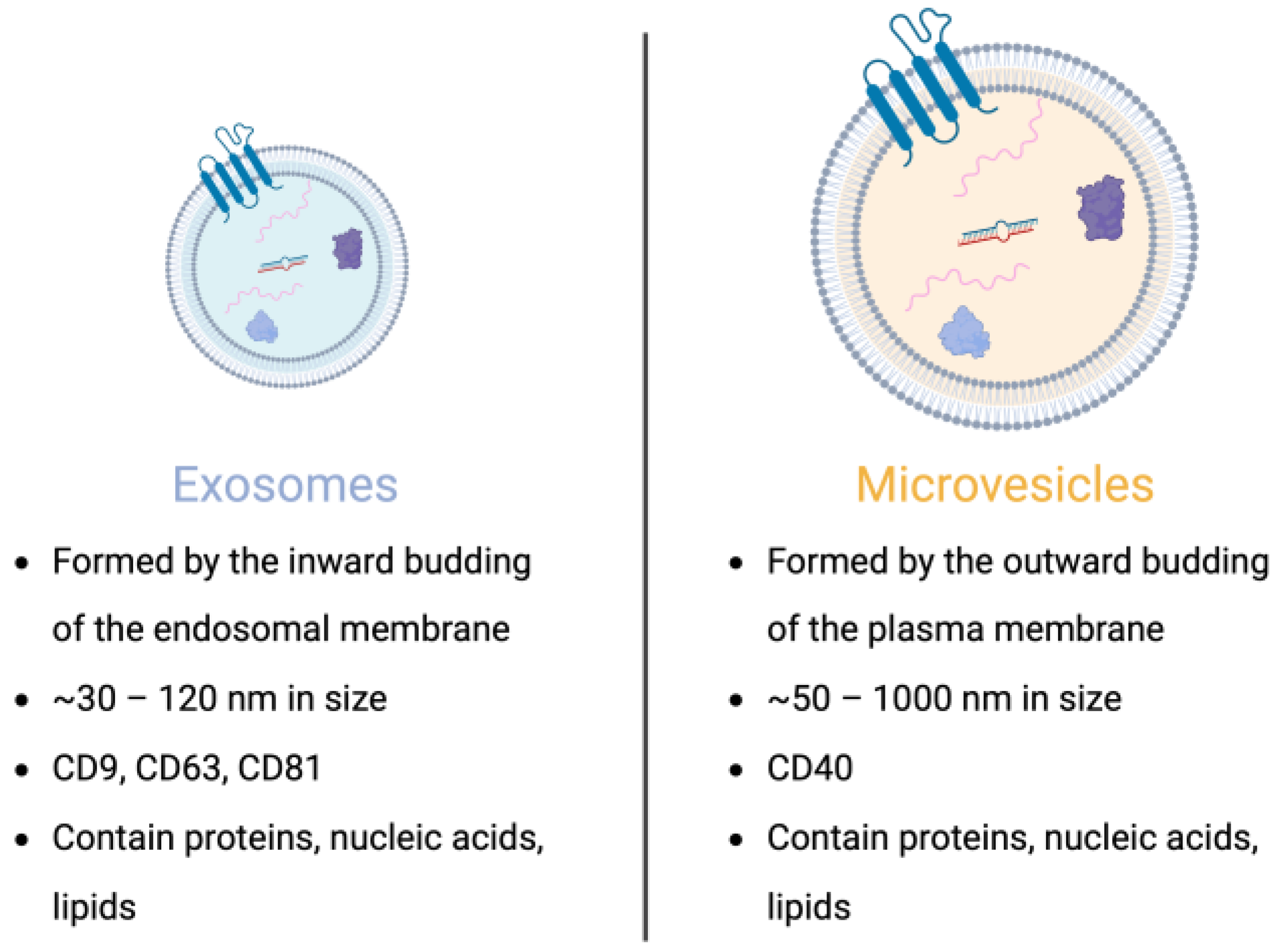 Jcm 12 05668 g003 Jcm 12 05668 g003