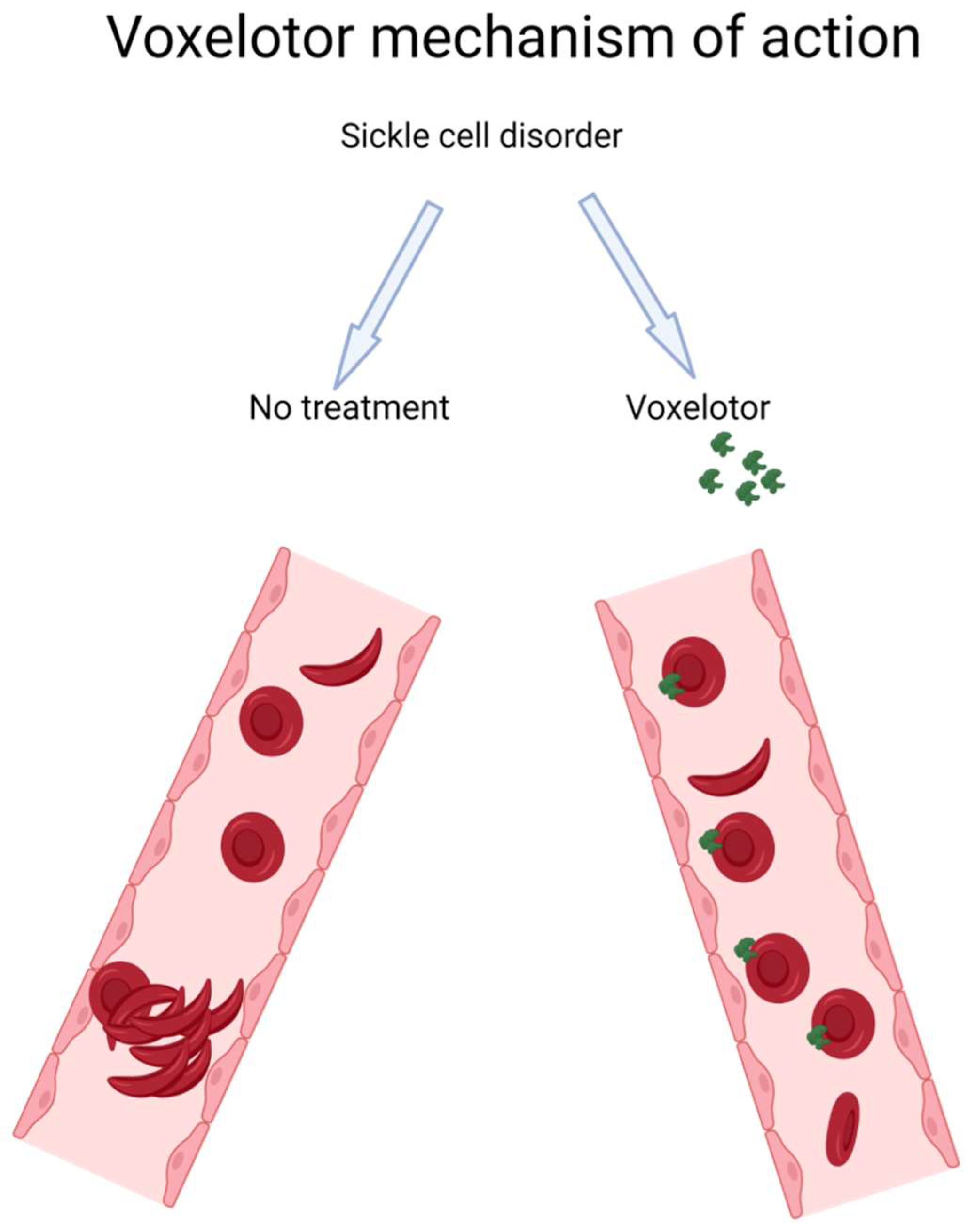 Jcm 12 05692 g002 Jcm 12 05692 g002