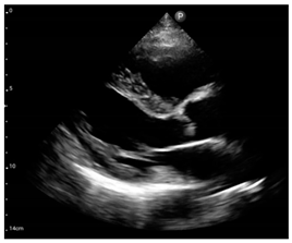 Jcm 12 05723 i001 Jcm 12 05723 i001