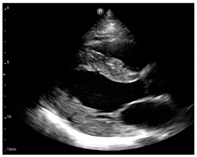 Jcm 12 05723 i002 Jcm 12 05723 i002