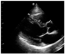 Jcm 12 05723 i003 Jcm 12 05723 i003