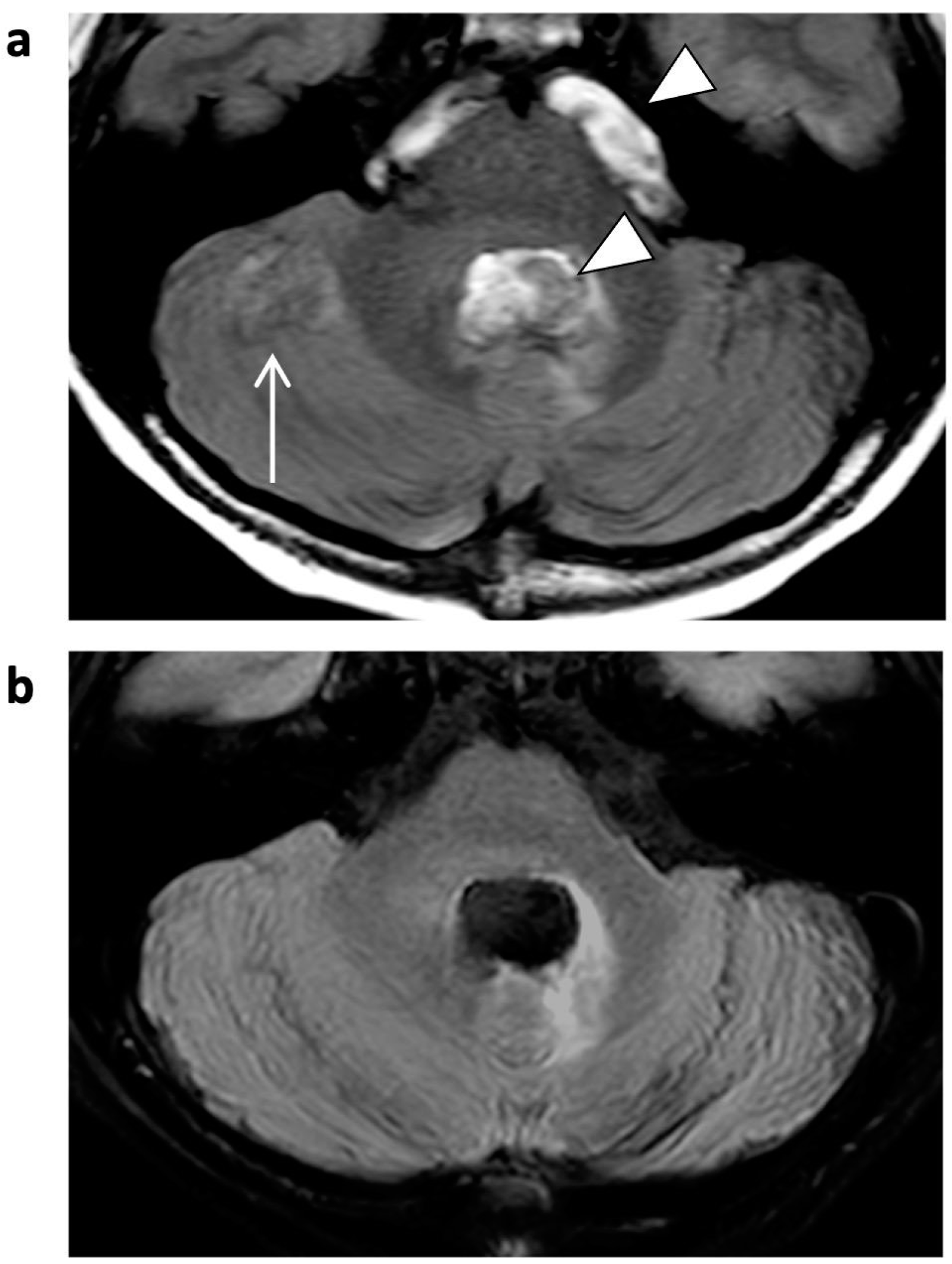 Jcm 12 05732 g006 Jcm 12 05732 g006