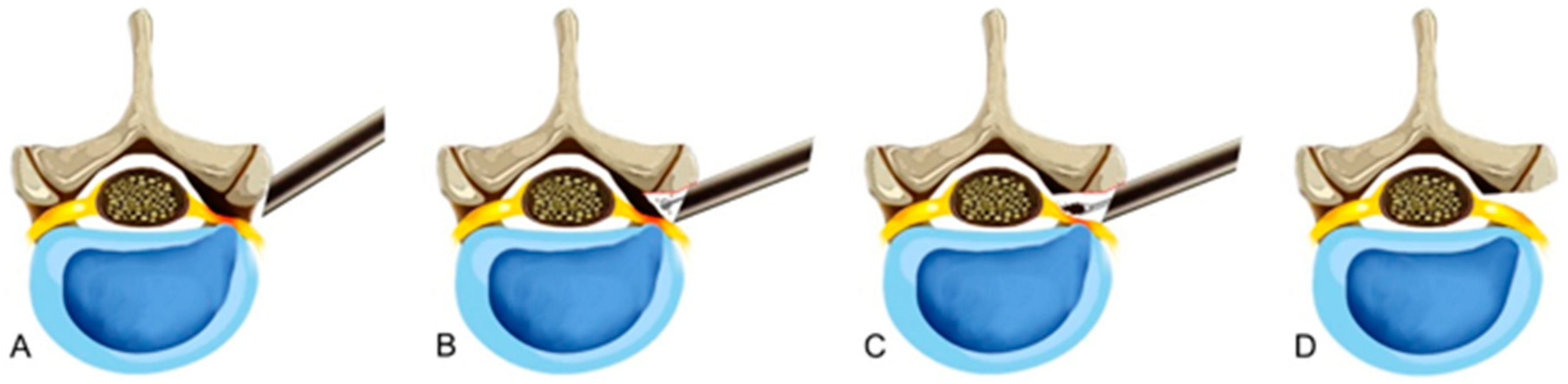 Jcm 12 05745 g001 Jcm 12 05745 g001