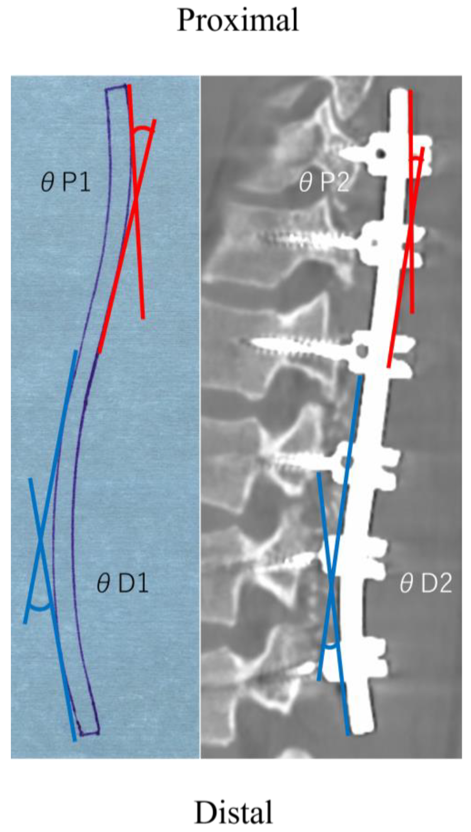 Jcm 12 05750 g001 Jcm 12 05750 g001