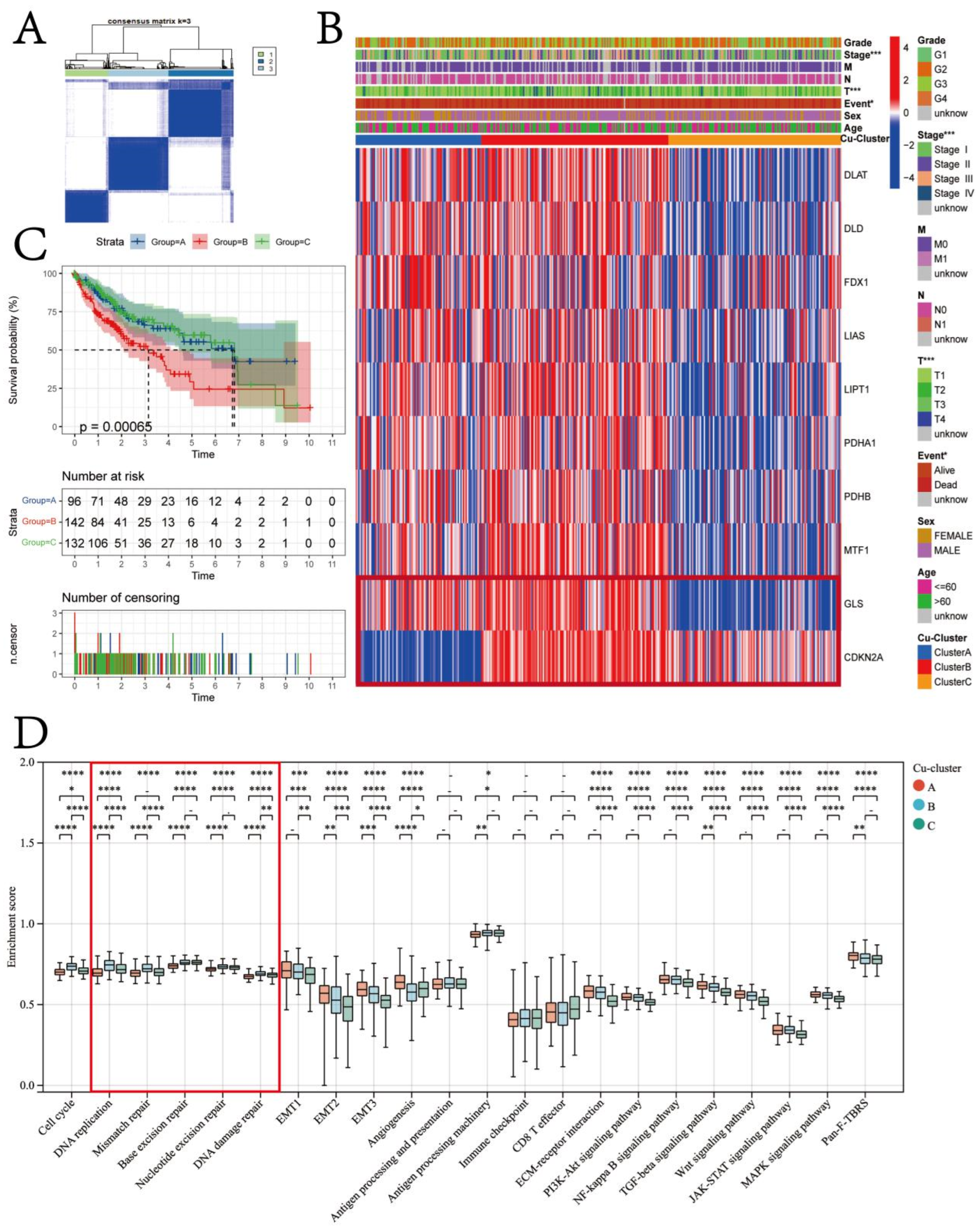 Jcm 12 05767 g004 Jcm 12 05767 g004