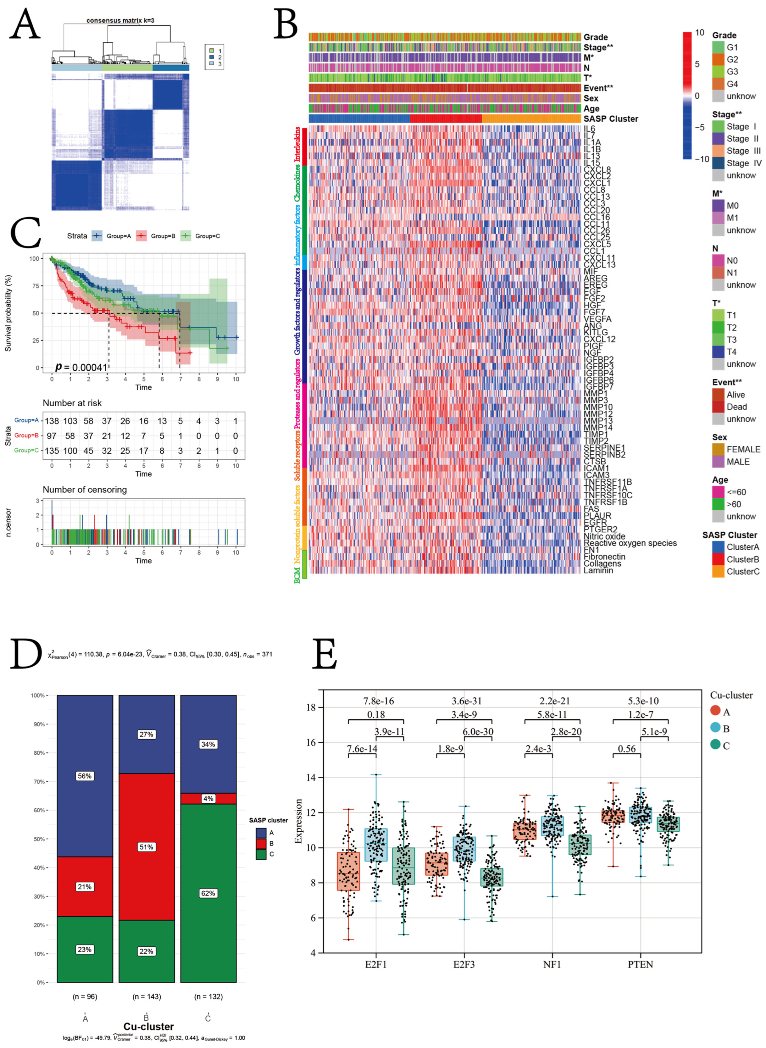 Jcm 12 05767 g005 Jcm 12 05767 g005