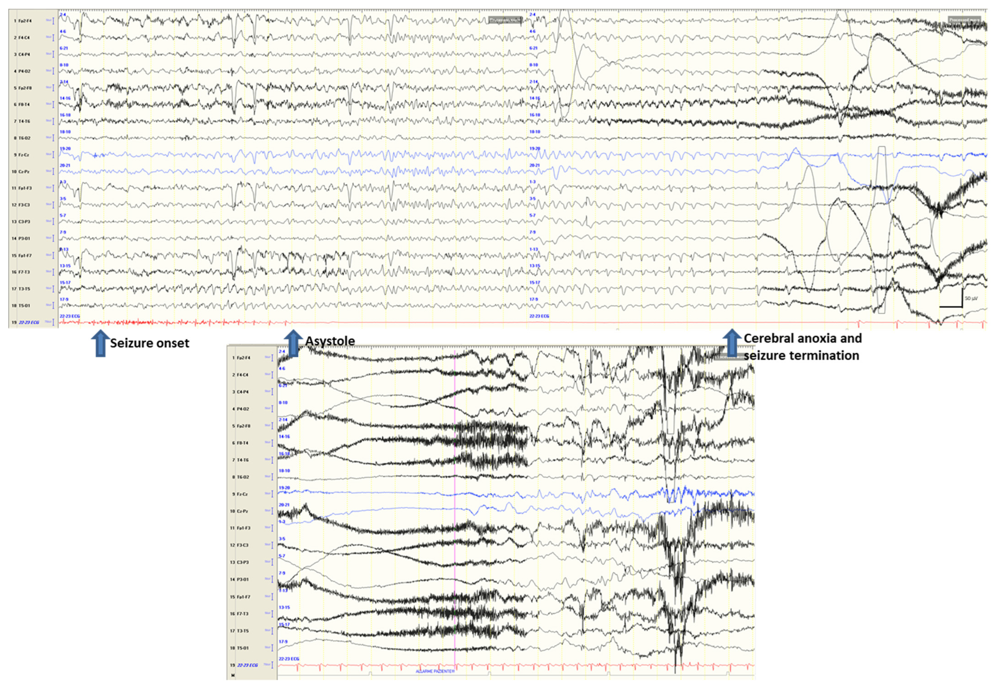 Jcm 12 05805 g002 Jcm 12 05805 g002