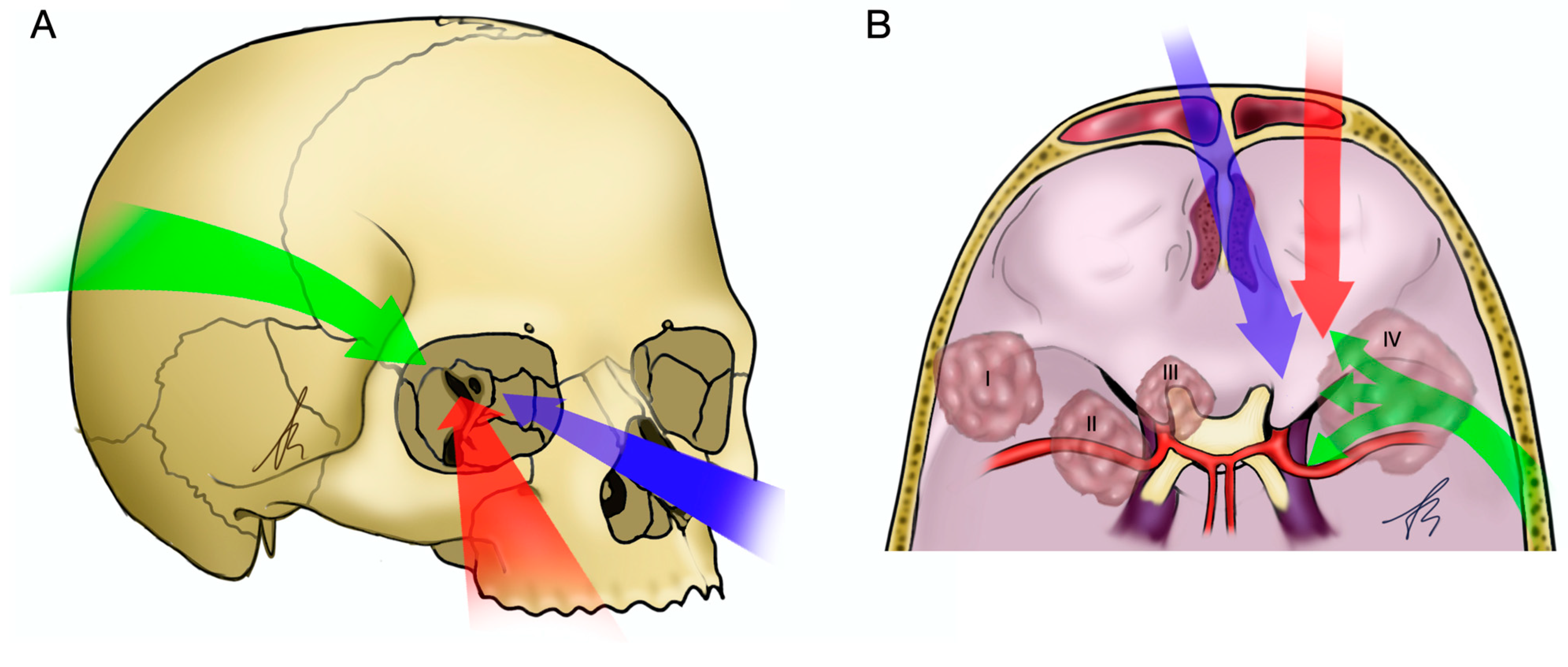 Jcm 12 05840 g001 Jcm 12 05840 g001