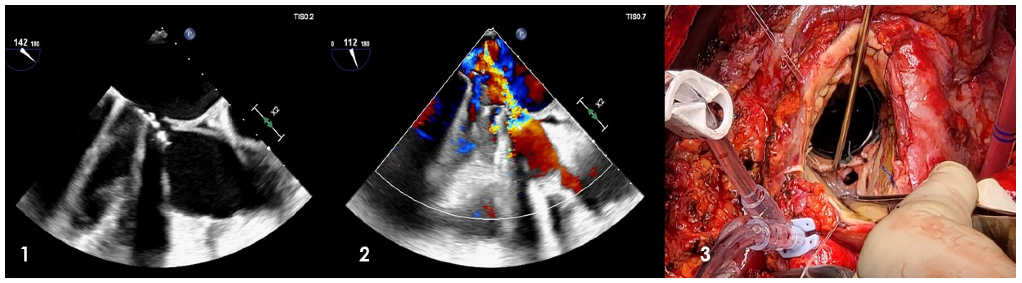 Jcm 12 05891 g004 Jcm 12 05891 g004