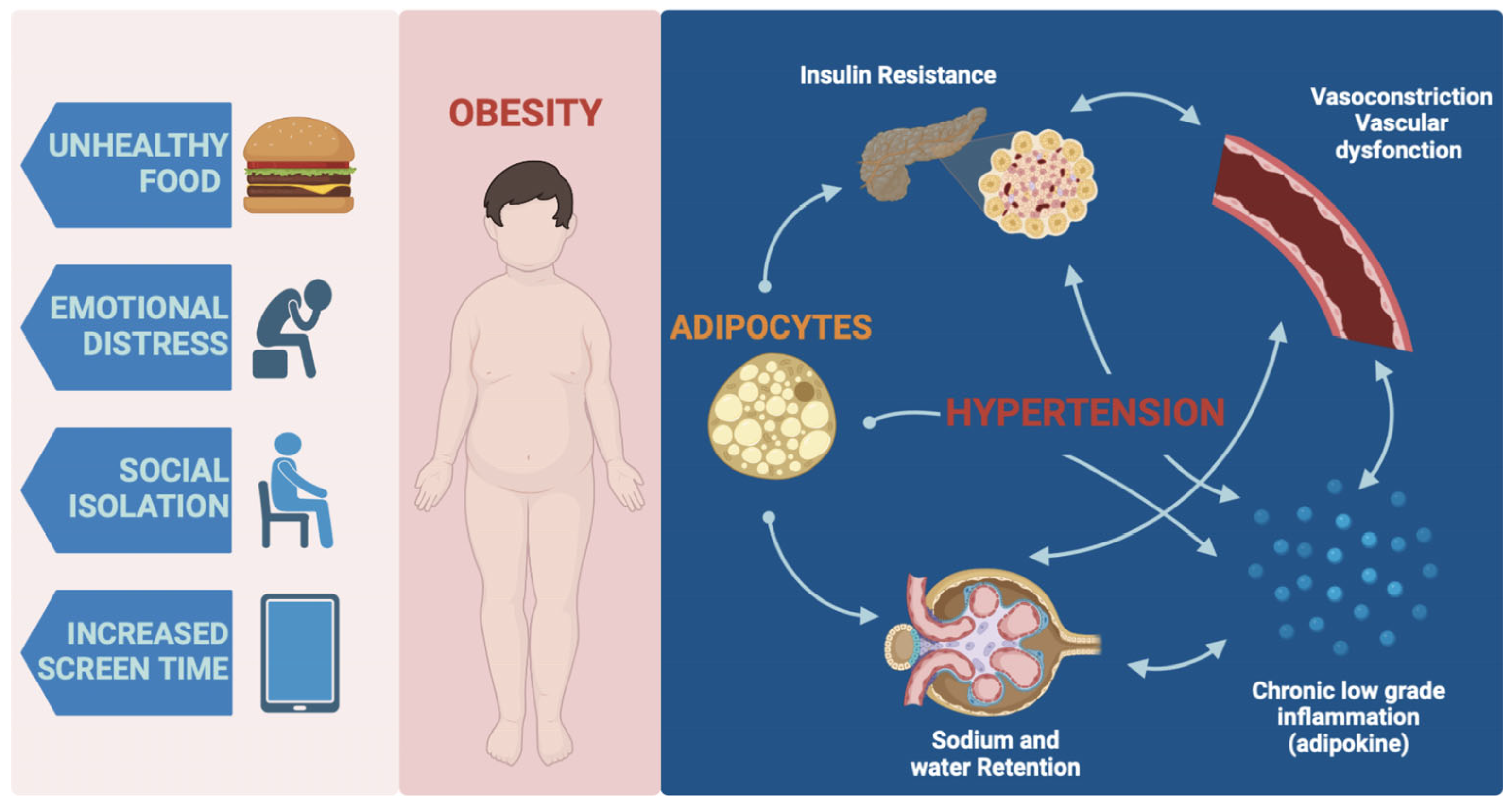 Jcm 12 05909 g002 Jcm 12 05909 g002