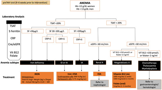 JCM | Free Full-Text | Impact of Baseline Anemia in Patients Undergoing ...