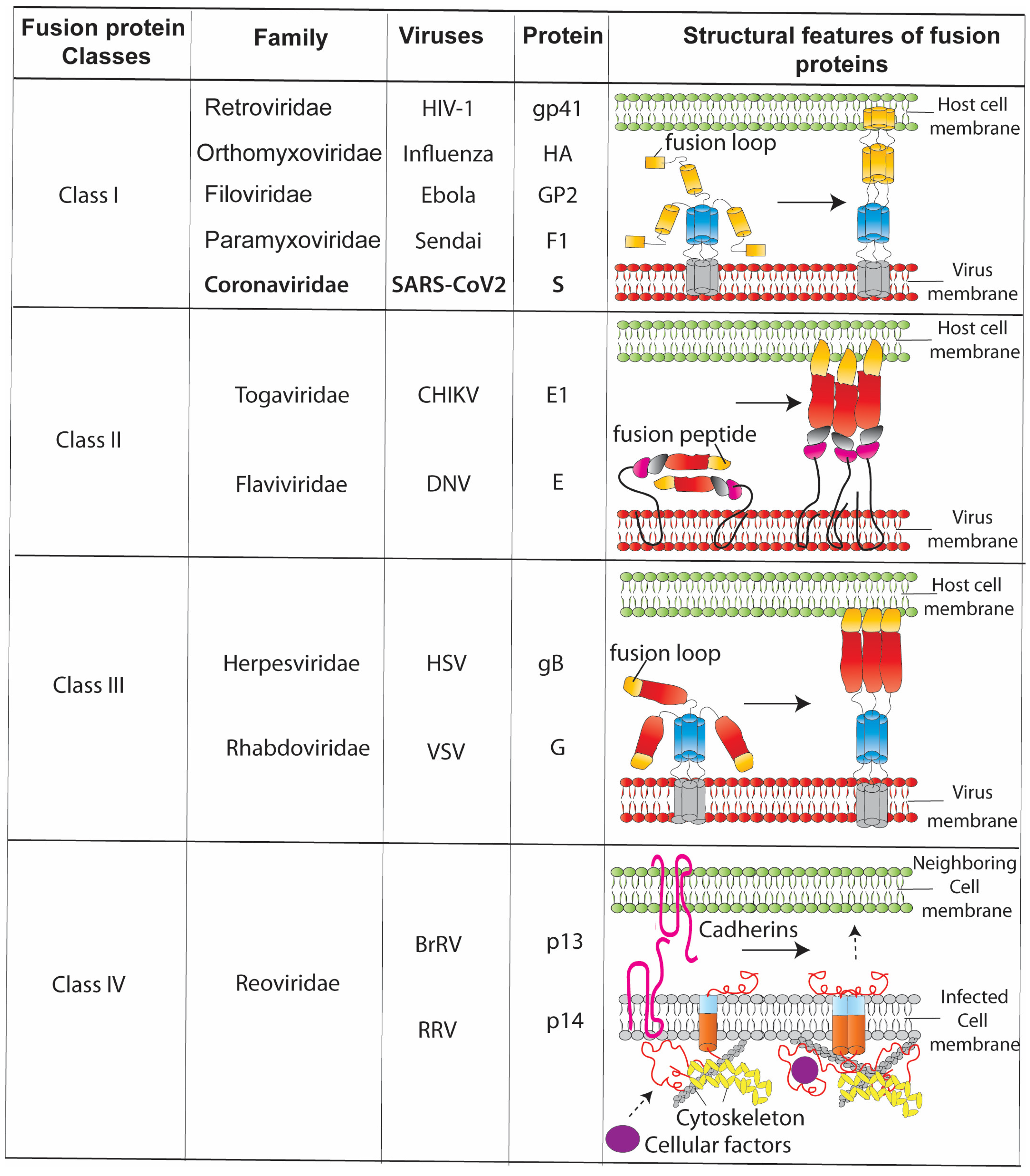 Jcm 12 06079 g002 Jcm 12 06079 g002