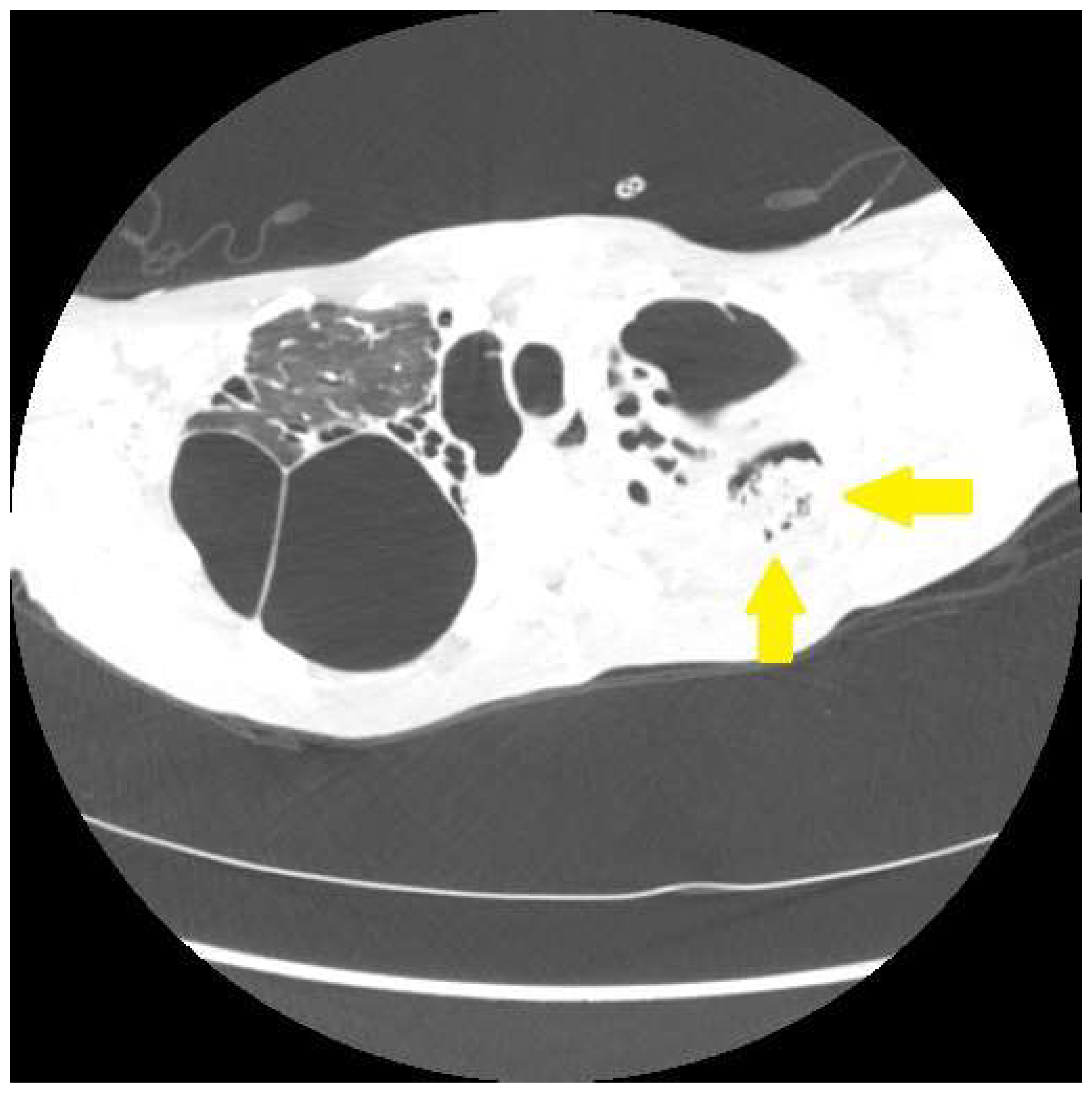 Jcm 12 06088 g004 Jcm 12 06088 g004