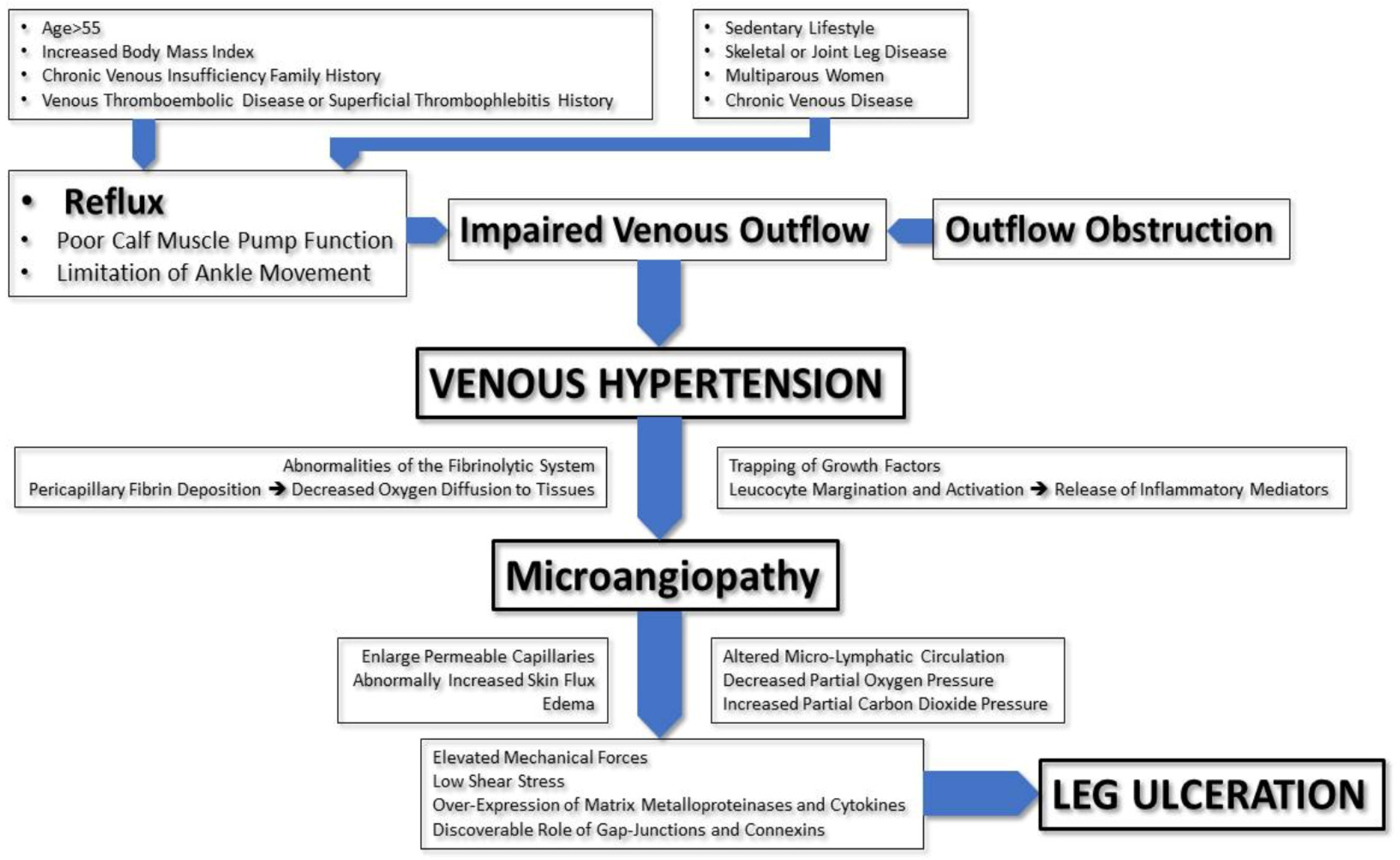 Chronic Venous Insufficiency - Lymphatic Therapy Services