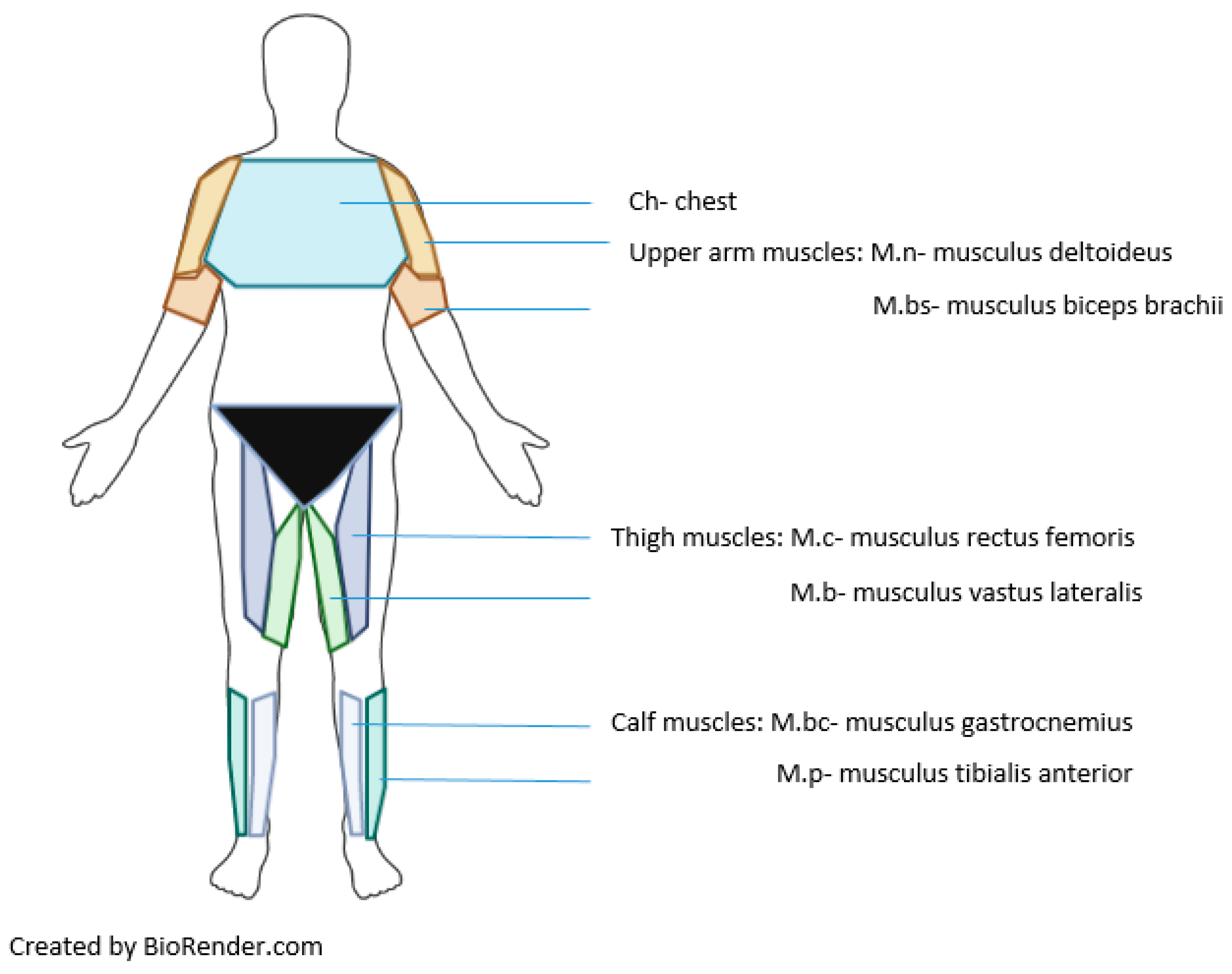 Jcm 12 06159 g001 Jcm 12 06159 g001