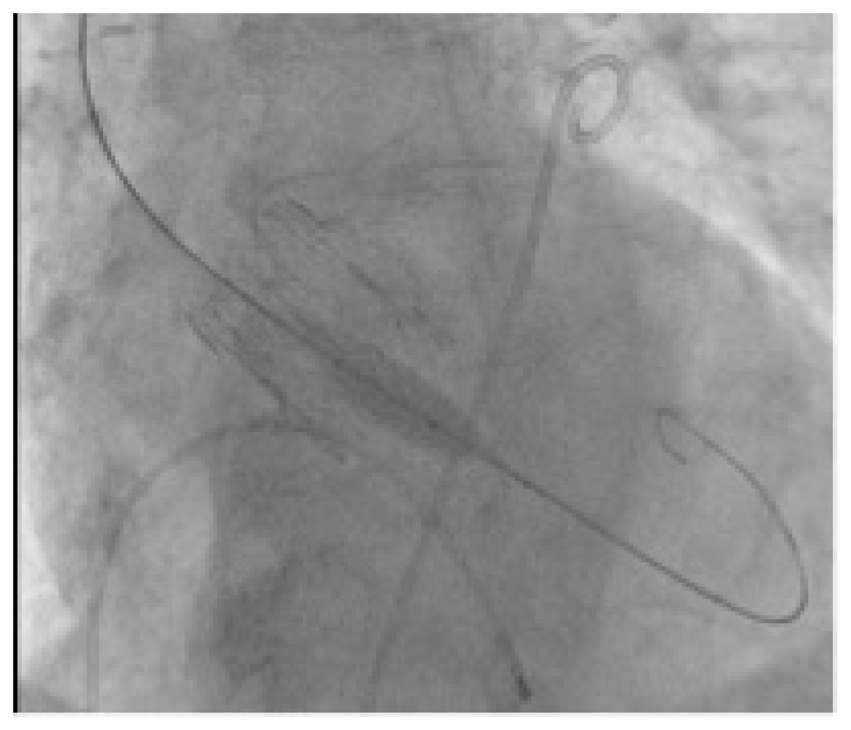 Jcm 12 06265 g004