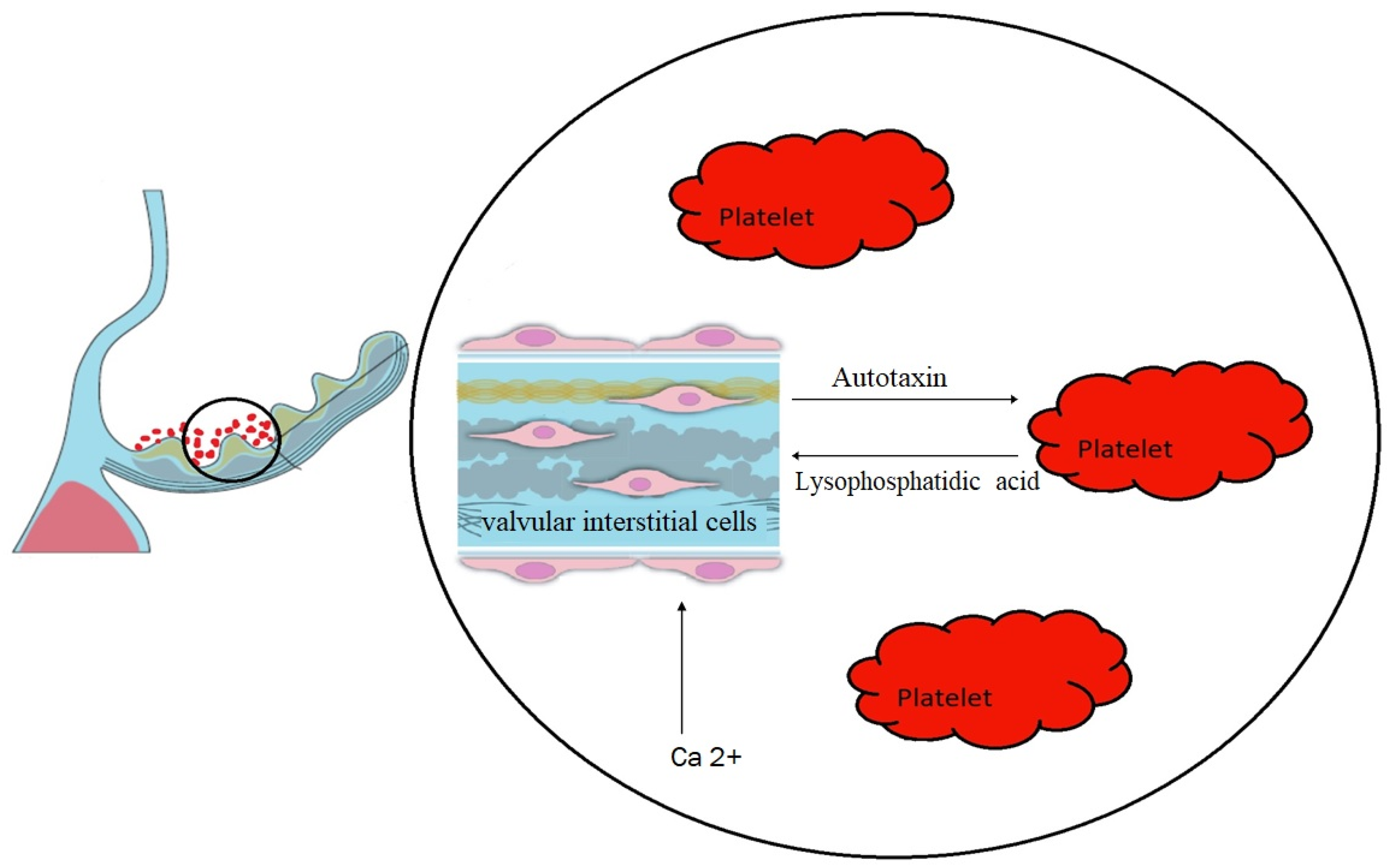 Jcm 12 06301 g002 Jcm 12 06301 g002