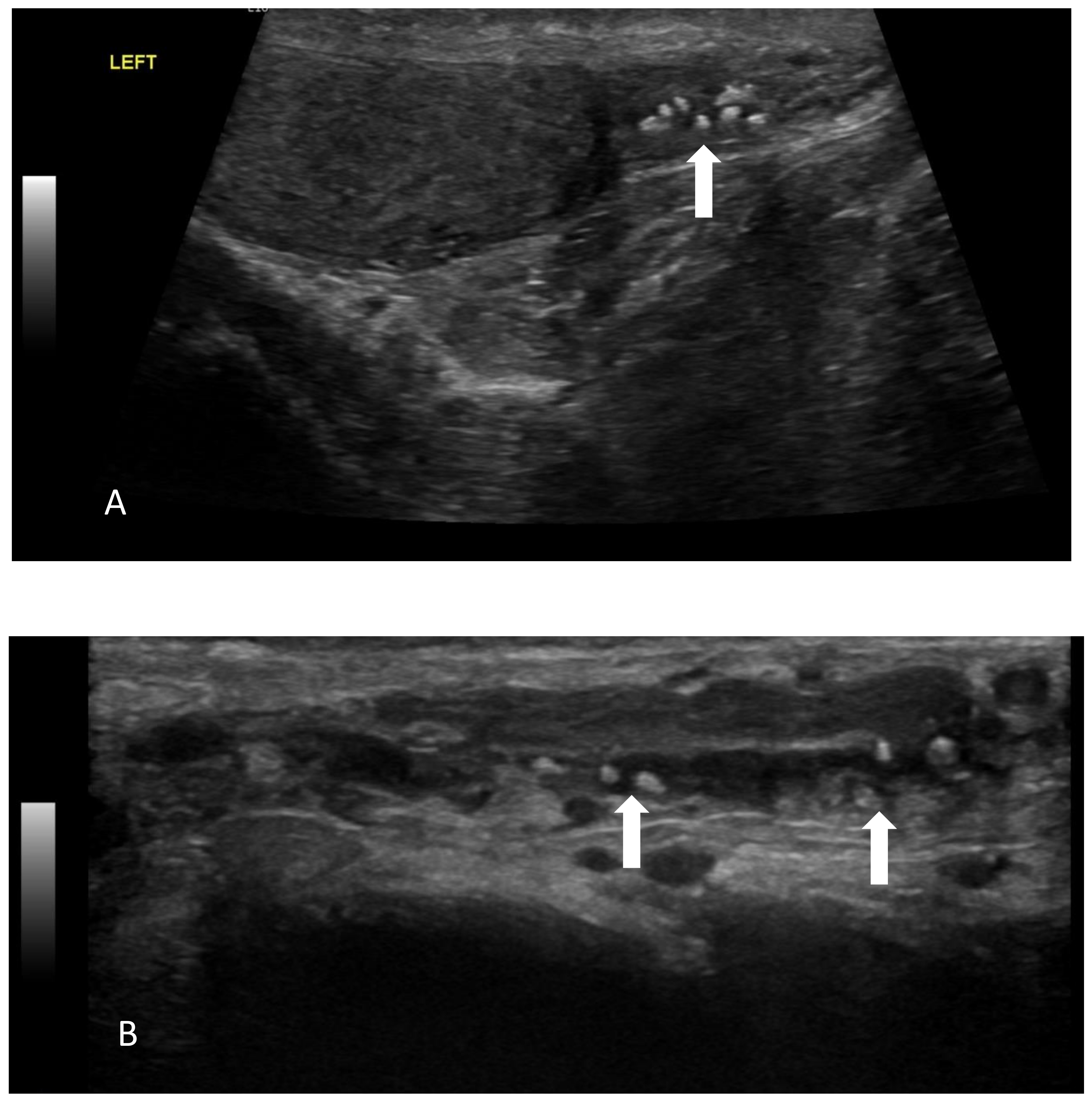 Jcm 12 06340 g005 Jcm 12 06340 g005