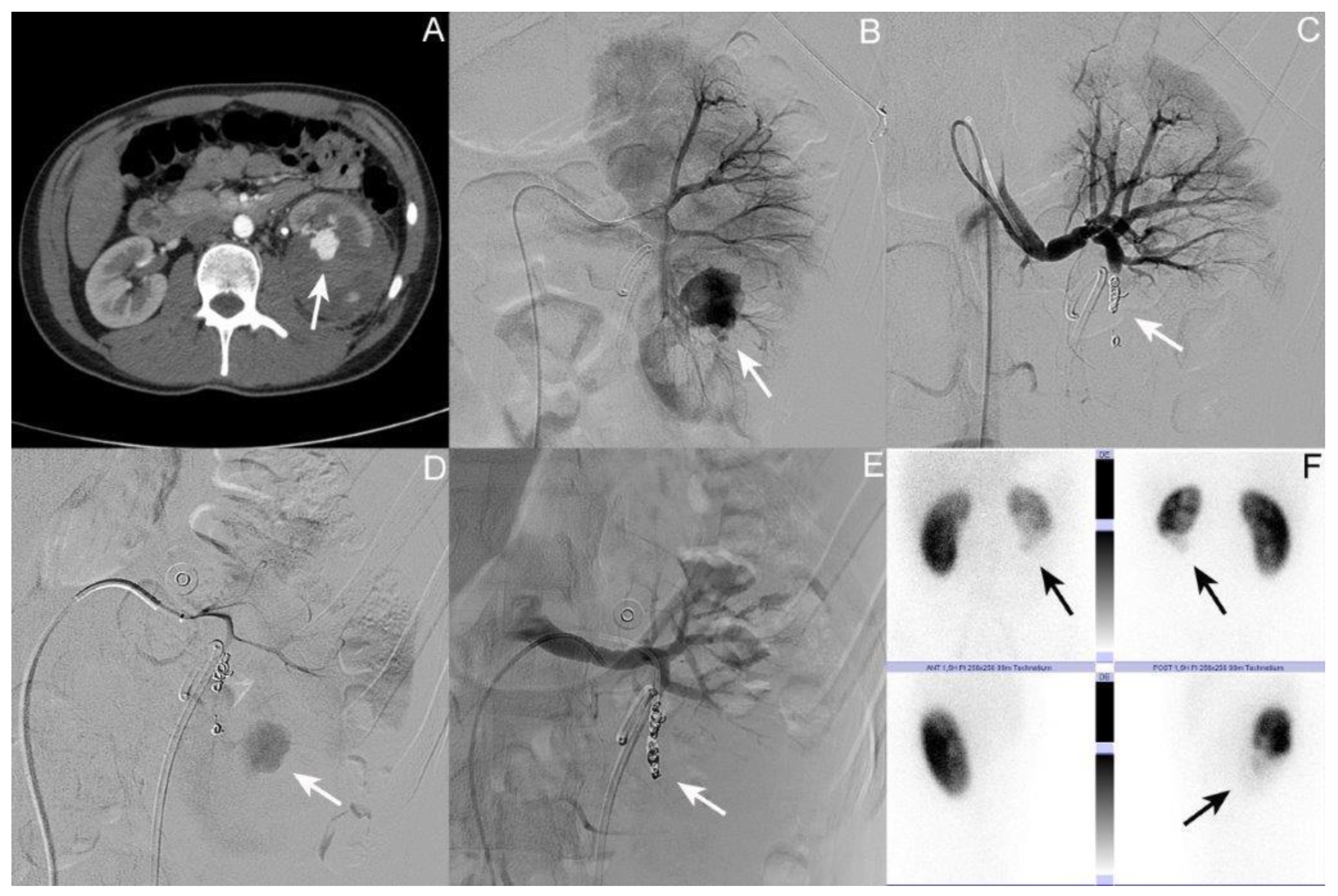 Jcm 12 06362 g001 Jcm 12 06362 g001