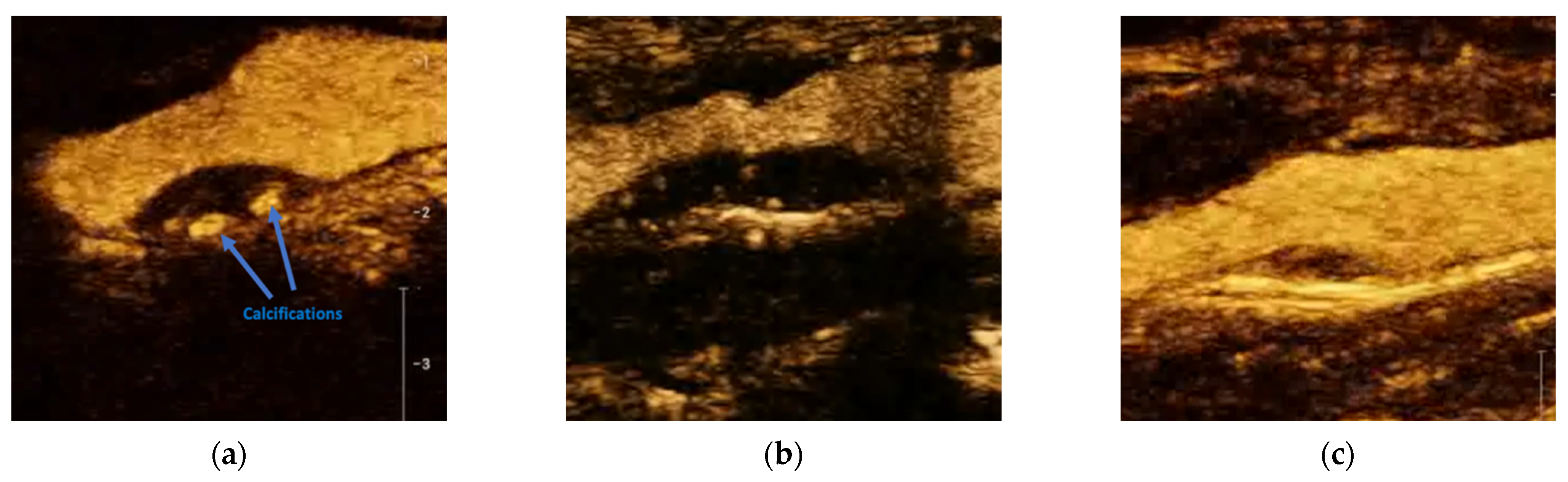 Jcm 12 06416 g002 Jcm 12 06416 g002