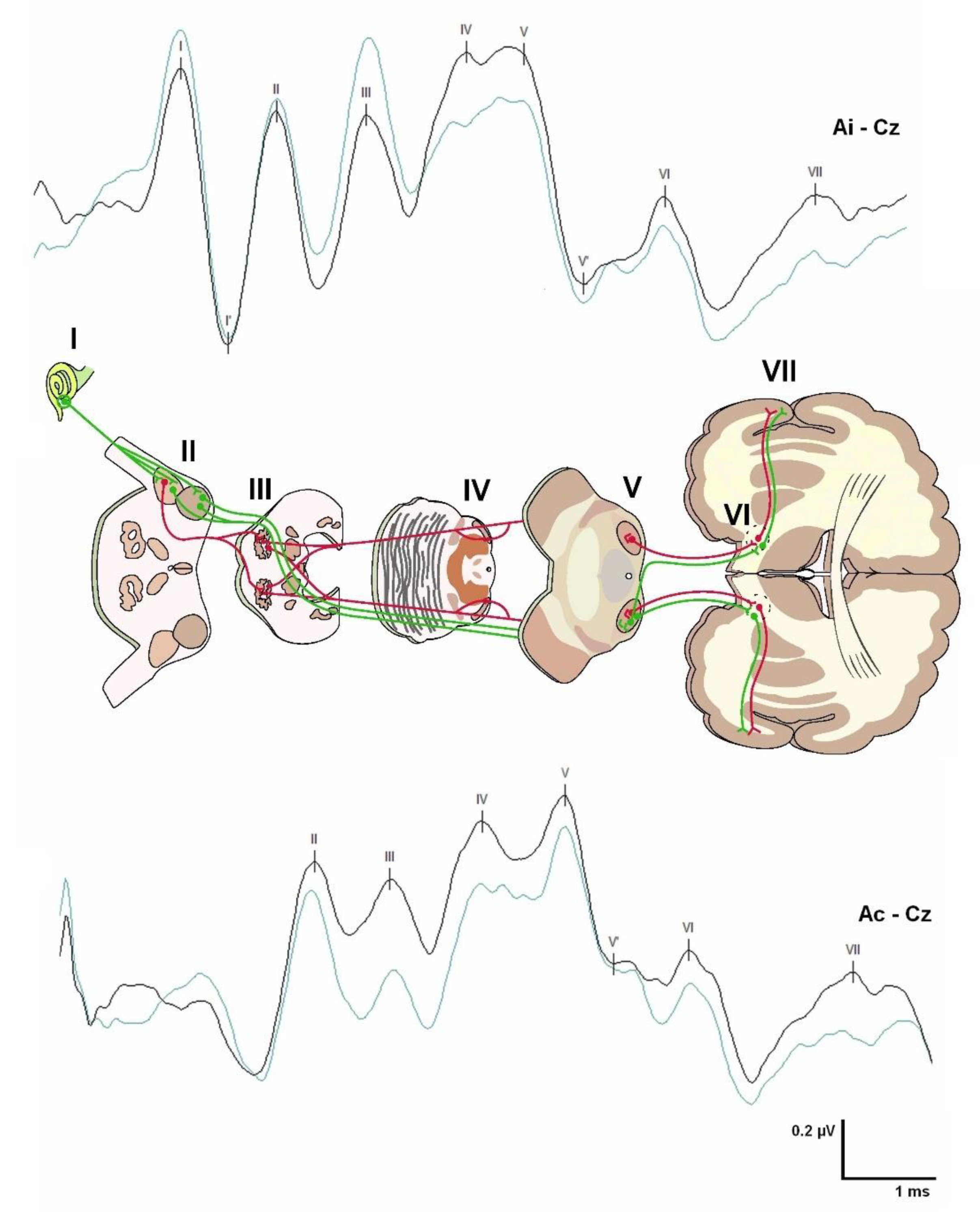 Jcm 12 06472 g003 Jcm 12 06472 g003