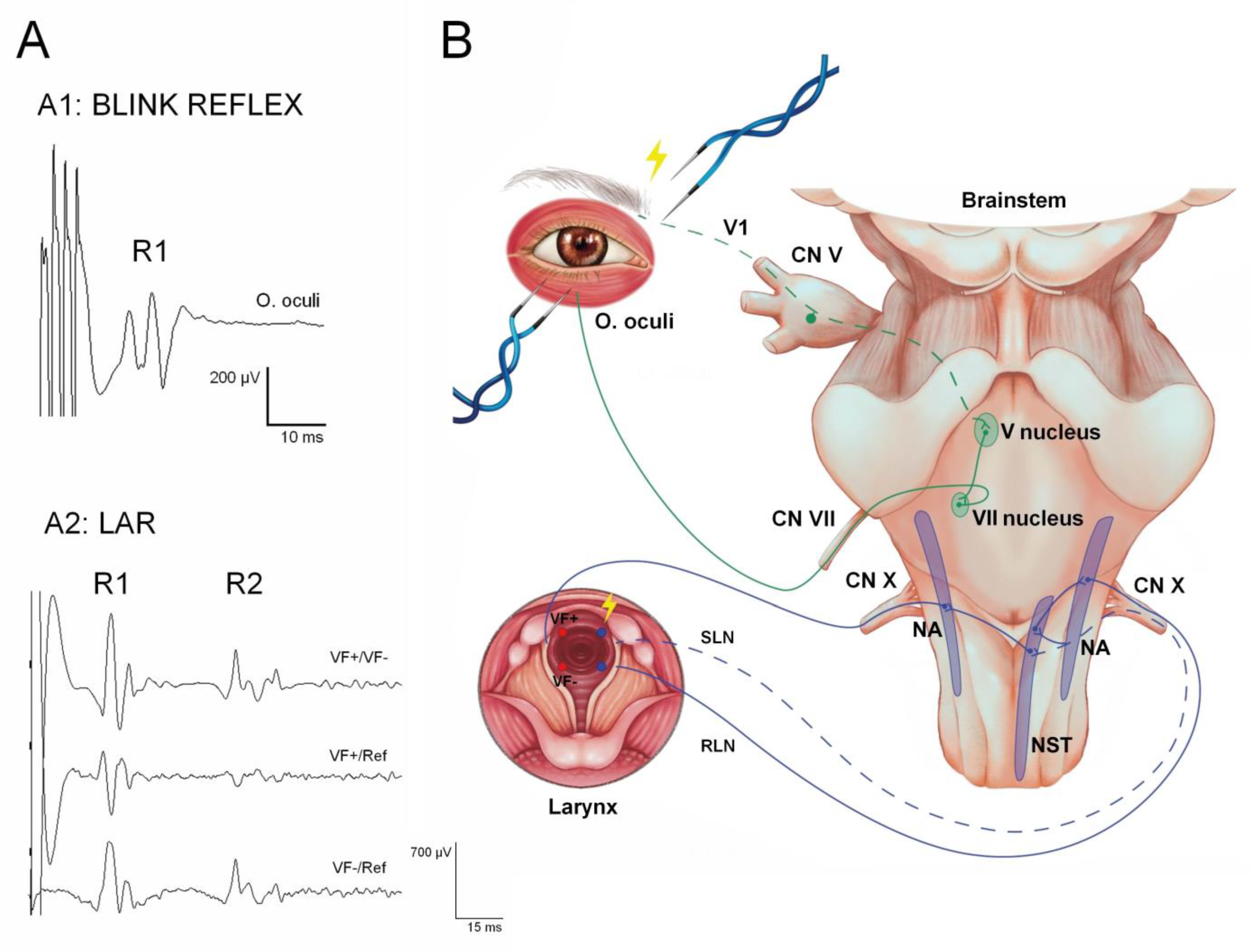 Jcm 12 06472 g005 Jcm 12 06472 g005