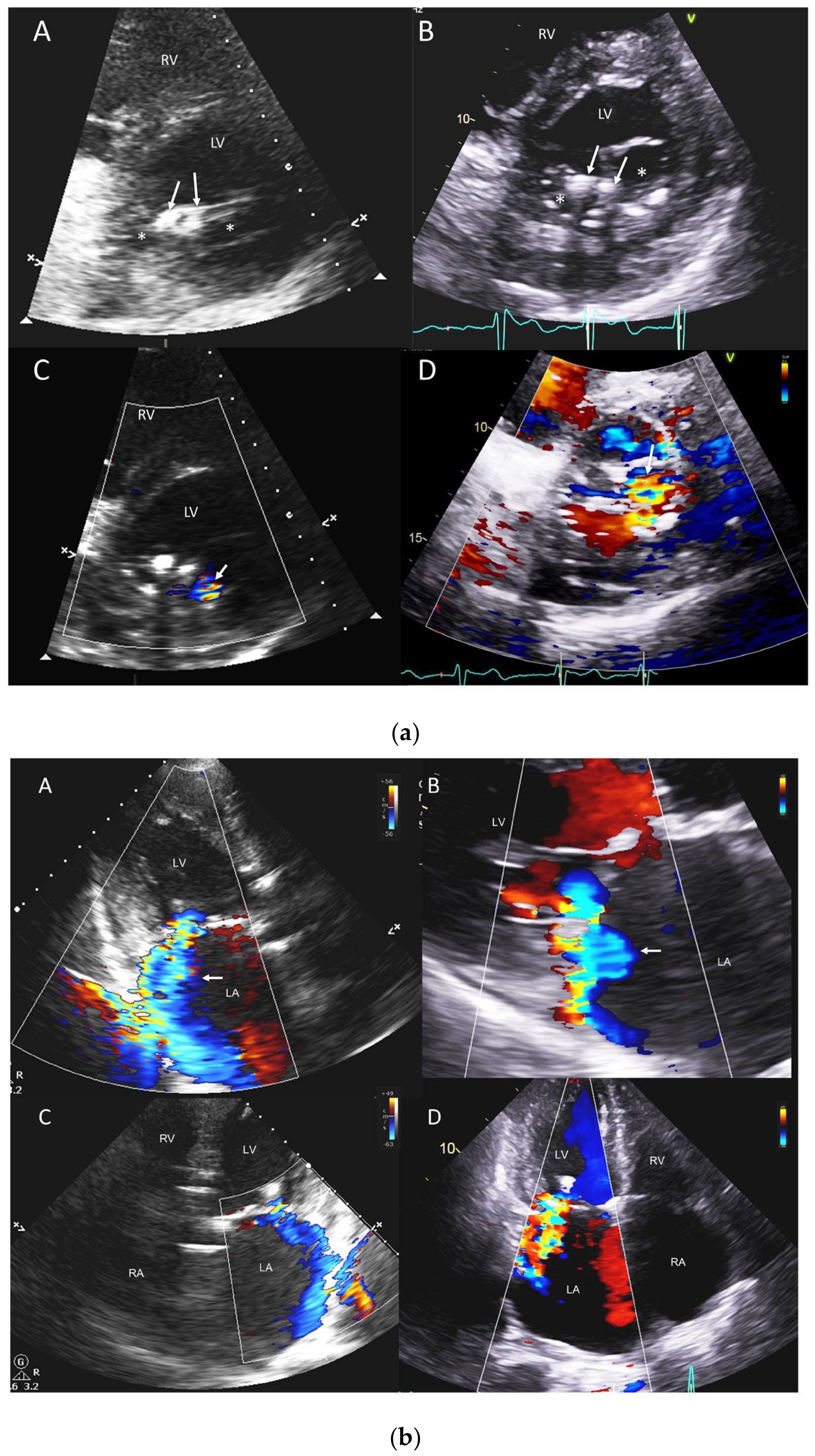 Jcm 12 06474 g001 Jcm 12 06474 g001