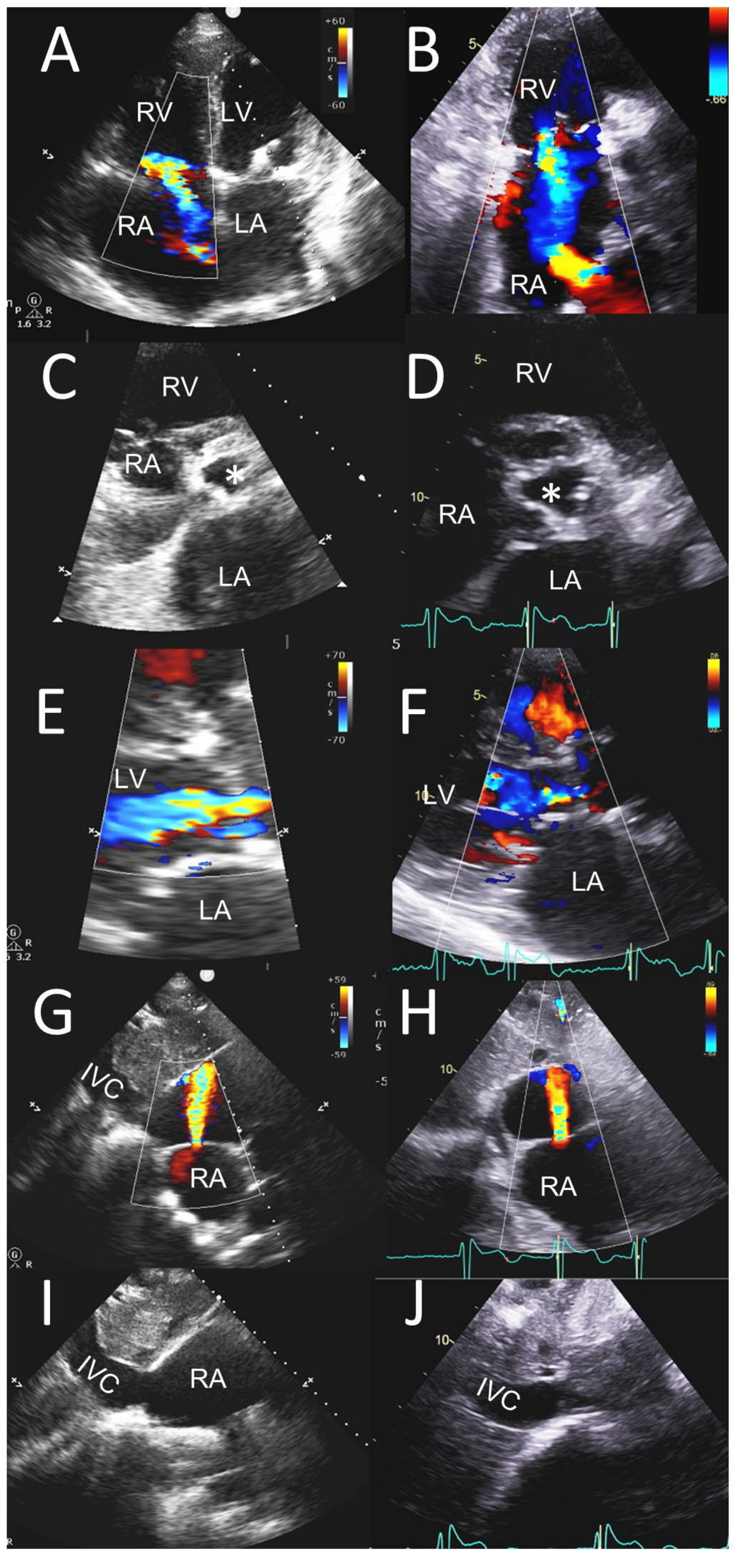 Jcm 12 06474 g002 Jcm 12 06474 g002