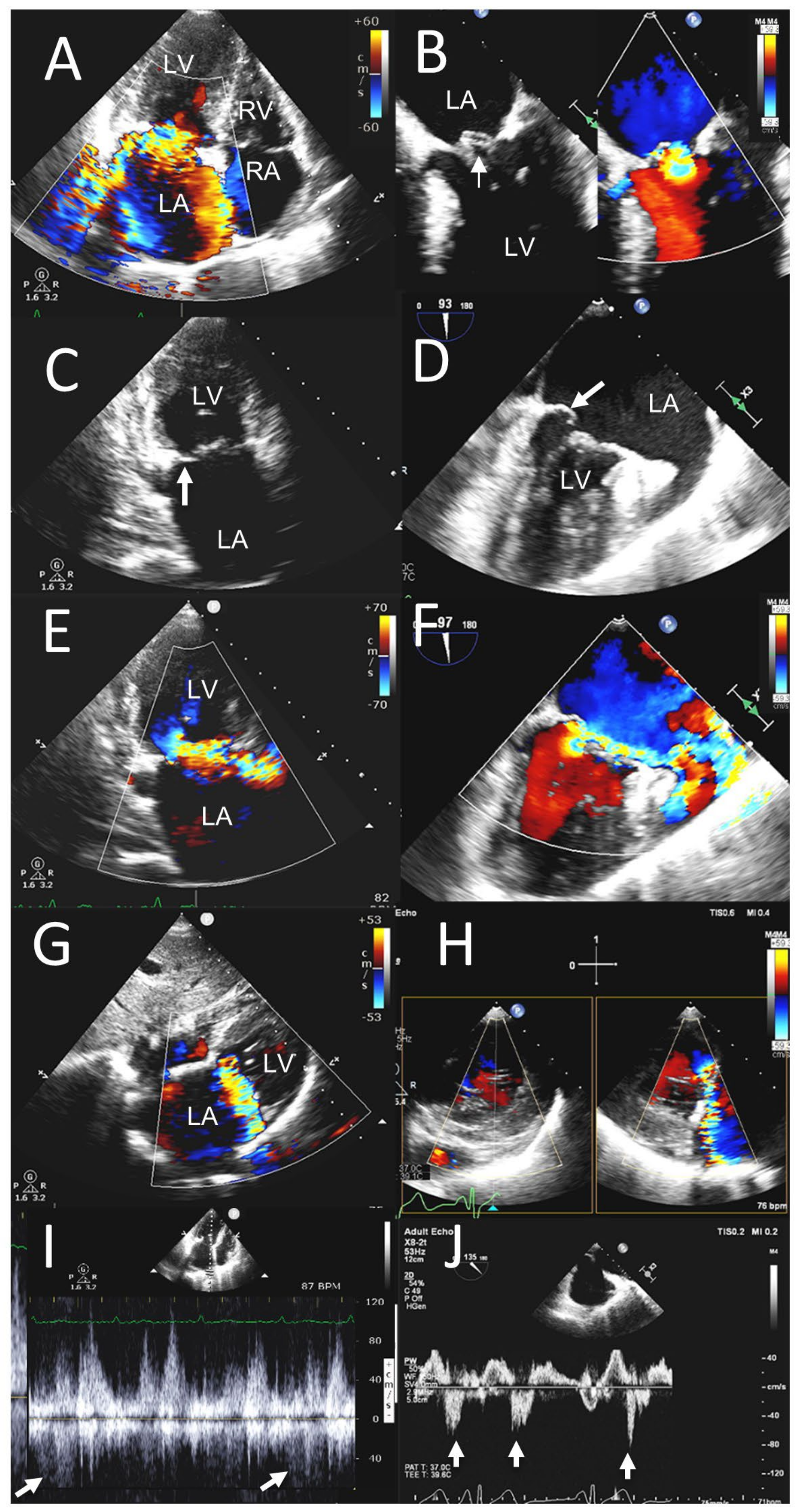 Jcm 12 06474 g003 Jcm 12 06474 g003