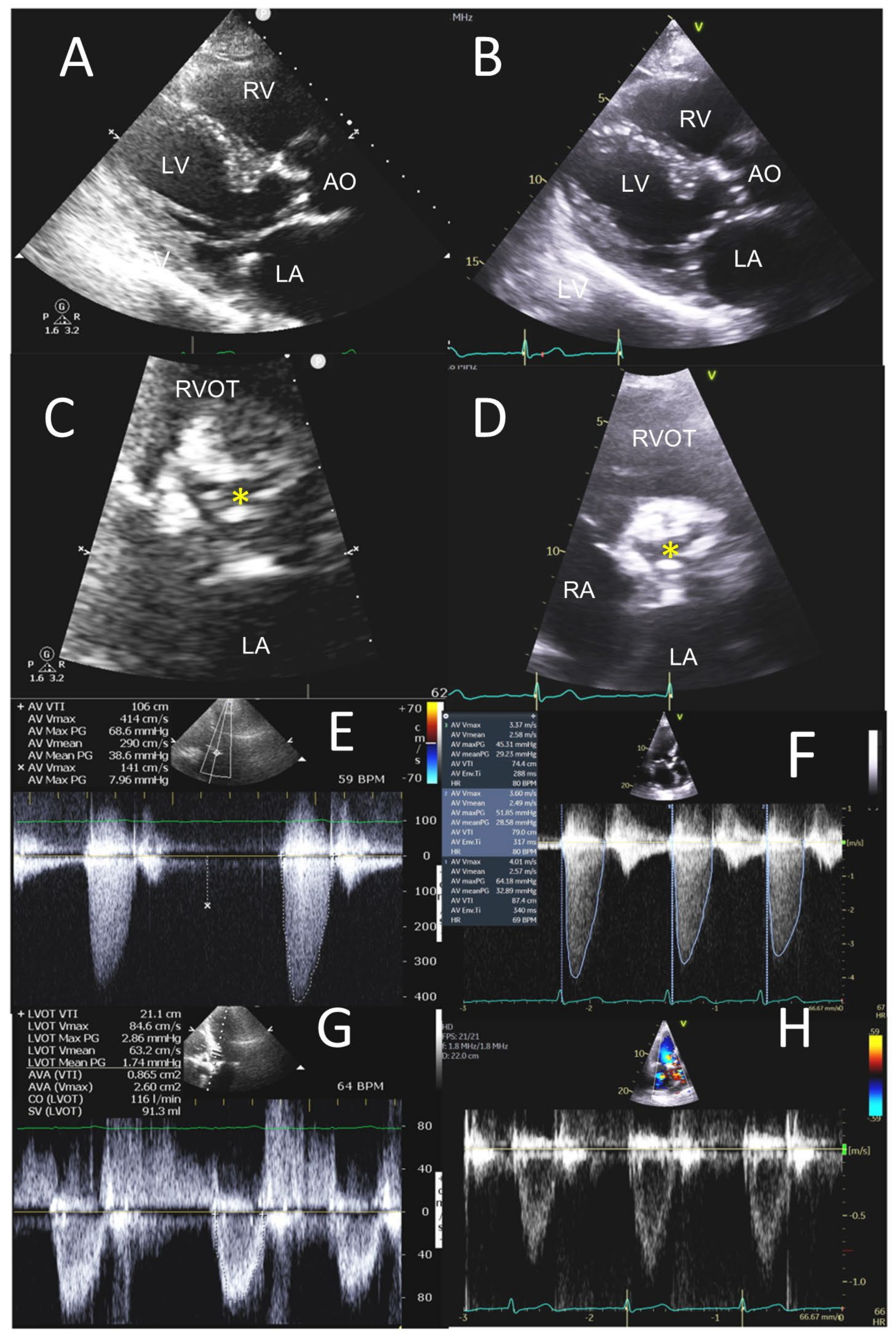 Jcm 12 06474 g005 Jcm 12 06474 g005
