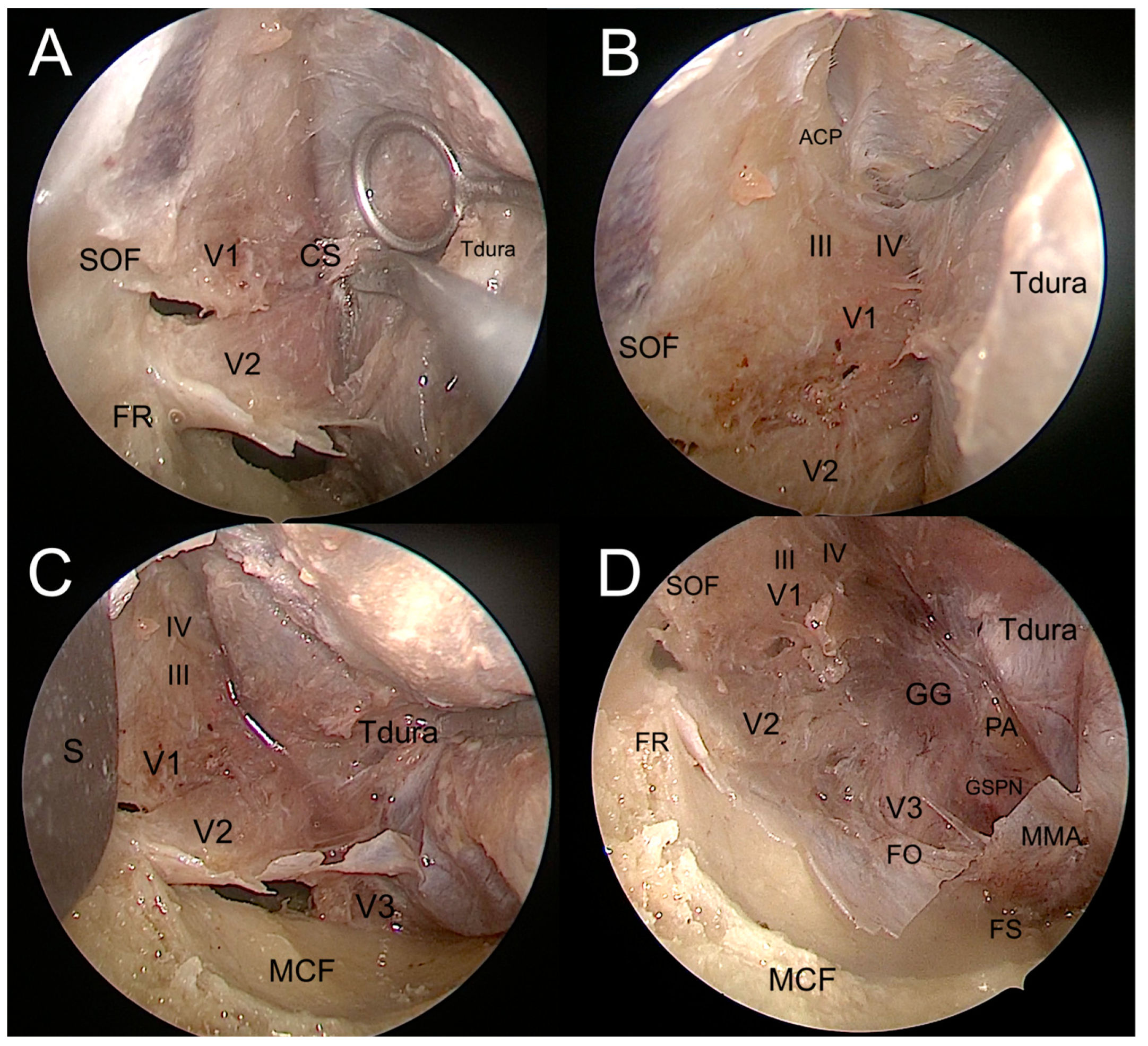 Jcm 12 06484 g008 Jcm 12 06484 g008