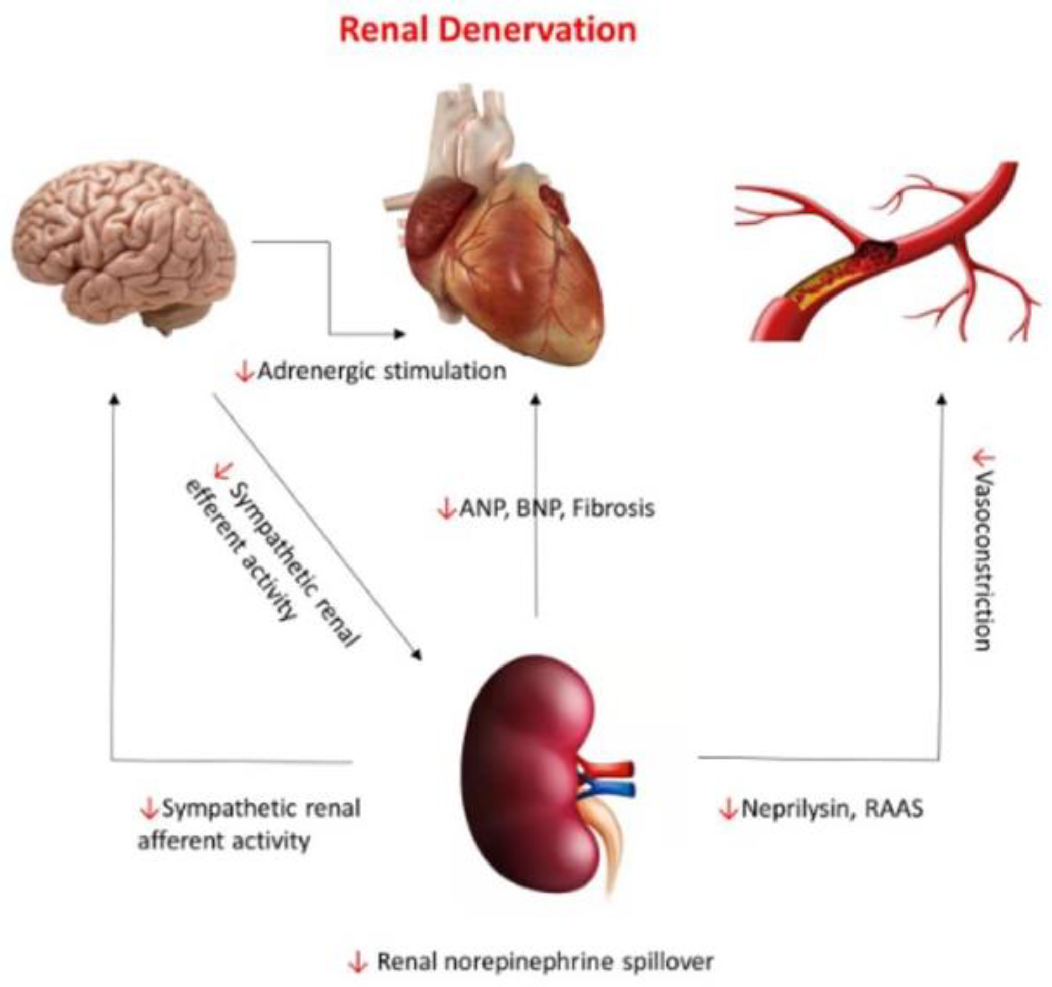 Jcm 12 06486 g005 Jcm 12 06486 g005
