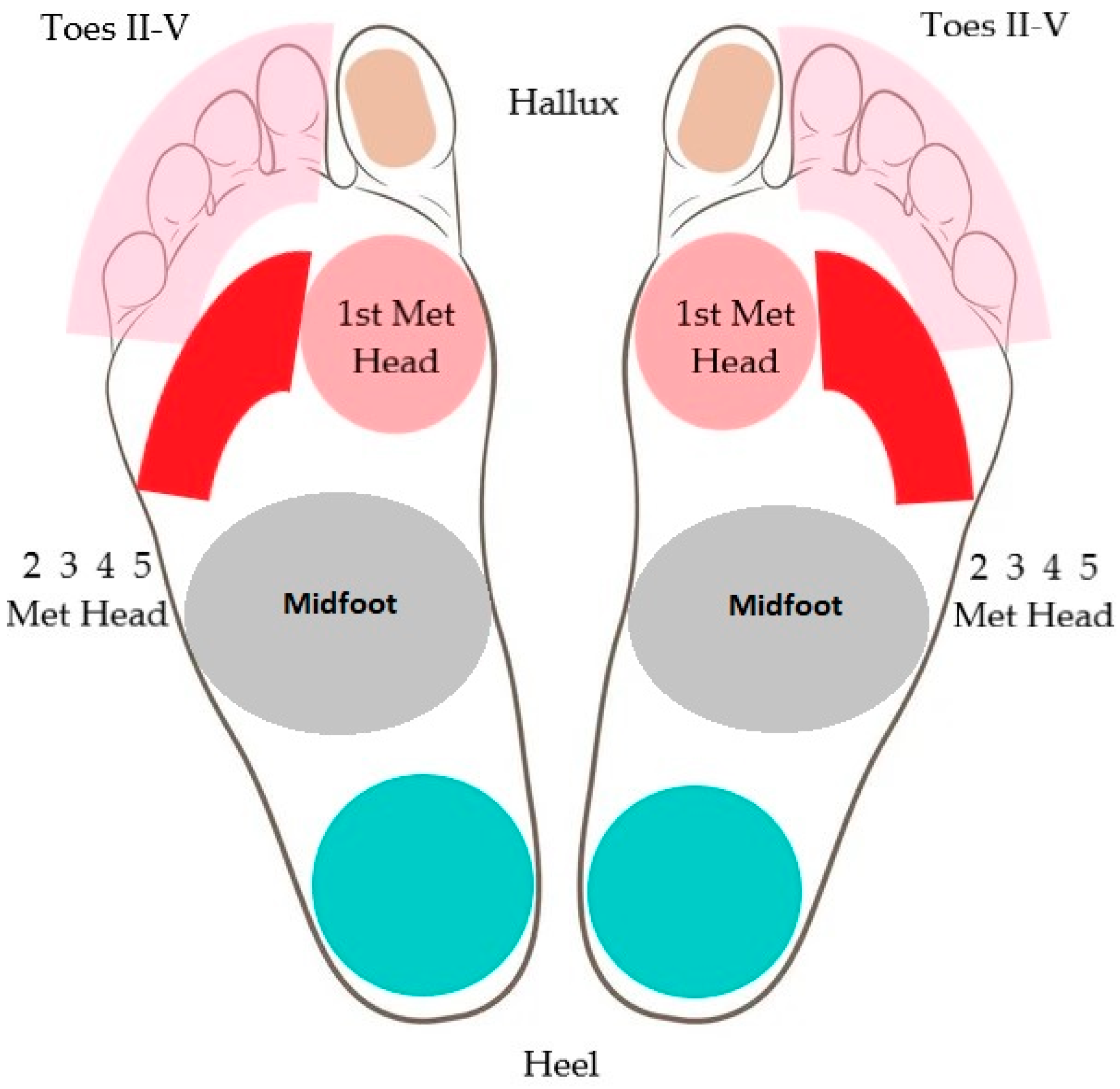 Jcm 12 06516 g002 Jcm 12 06516 g002