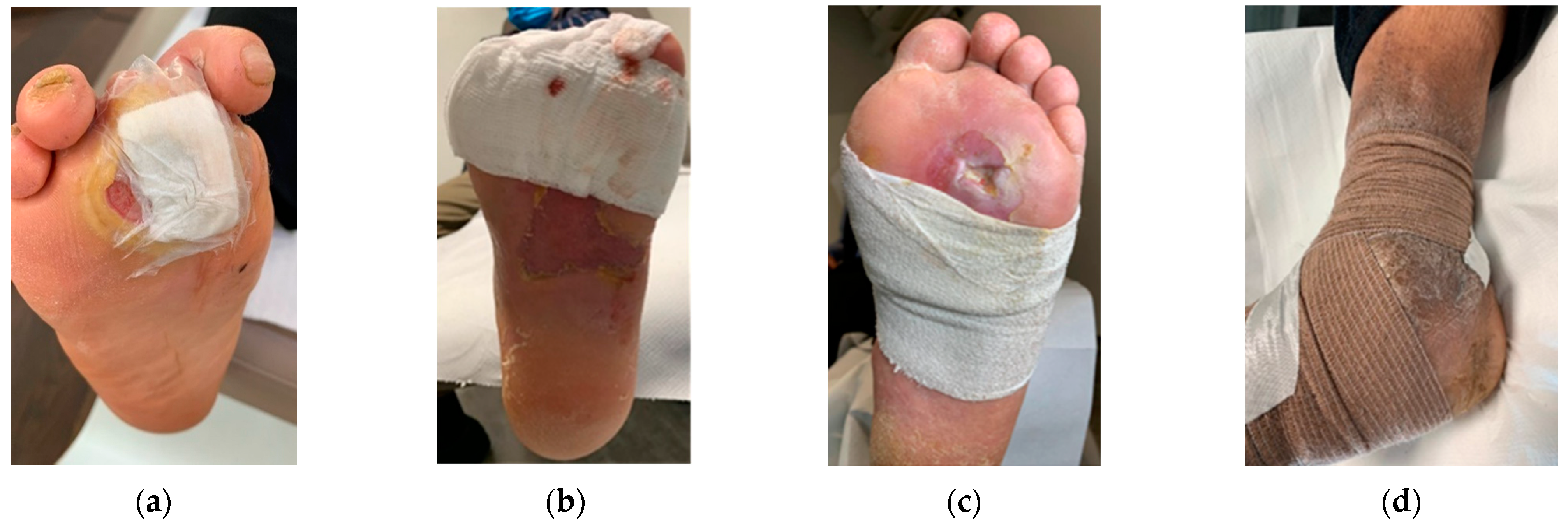 Jcm 12 06516 g013 Jcm 12 06516 g013