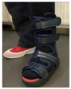 Jcm 12 06516 i006 Jcm 12 06516 i006