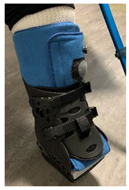 Jcm 12 06516 i018 Jcm 12 06516 i018