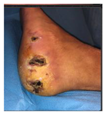 Jcm 12 06516 i019 Jcm 12 06516 i019