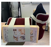 Jcm 12 06516 i021 Jcm 12 06516 i021