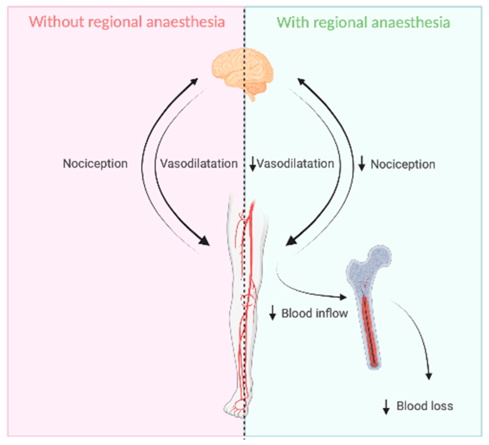 Jcm 12 06542 g001 Jcm 12 06542 g001